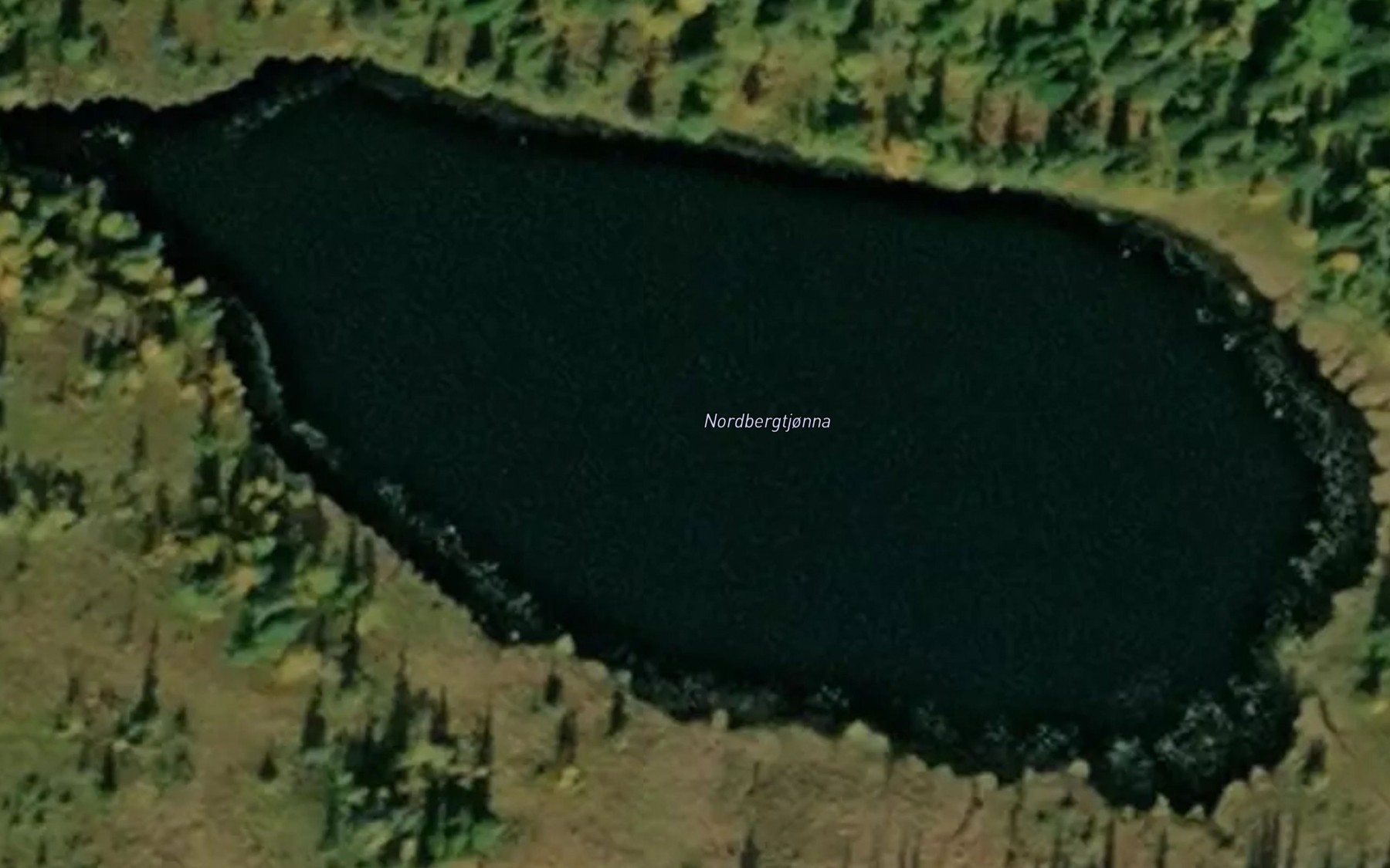 Satellite map of the Bergtjorna,nordre
