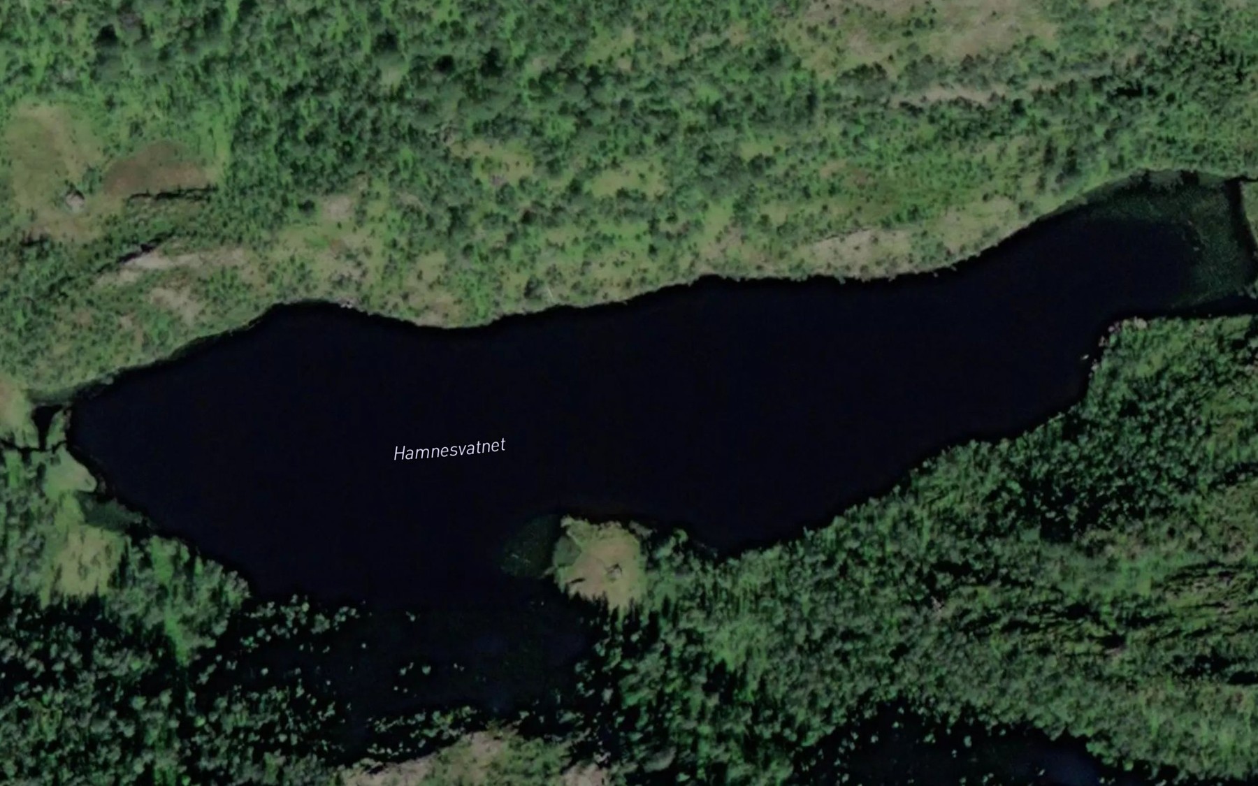 Satellite map of the Hamnesvatnet