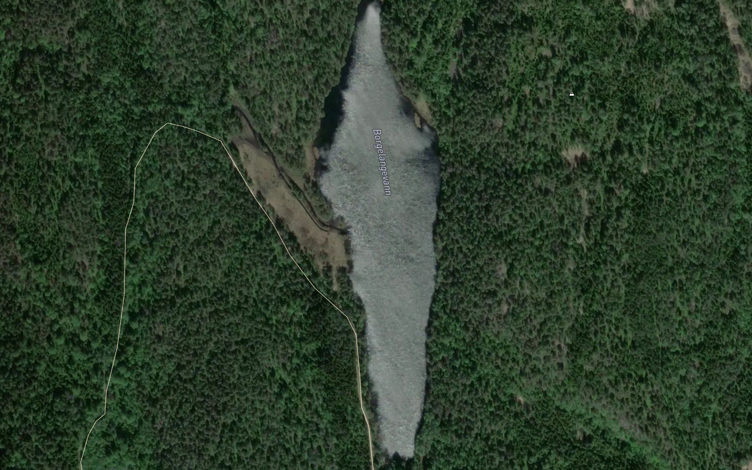 Borgelangevann