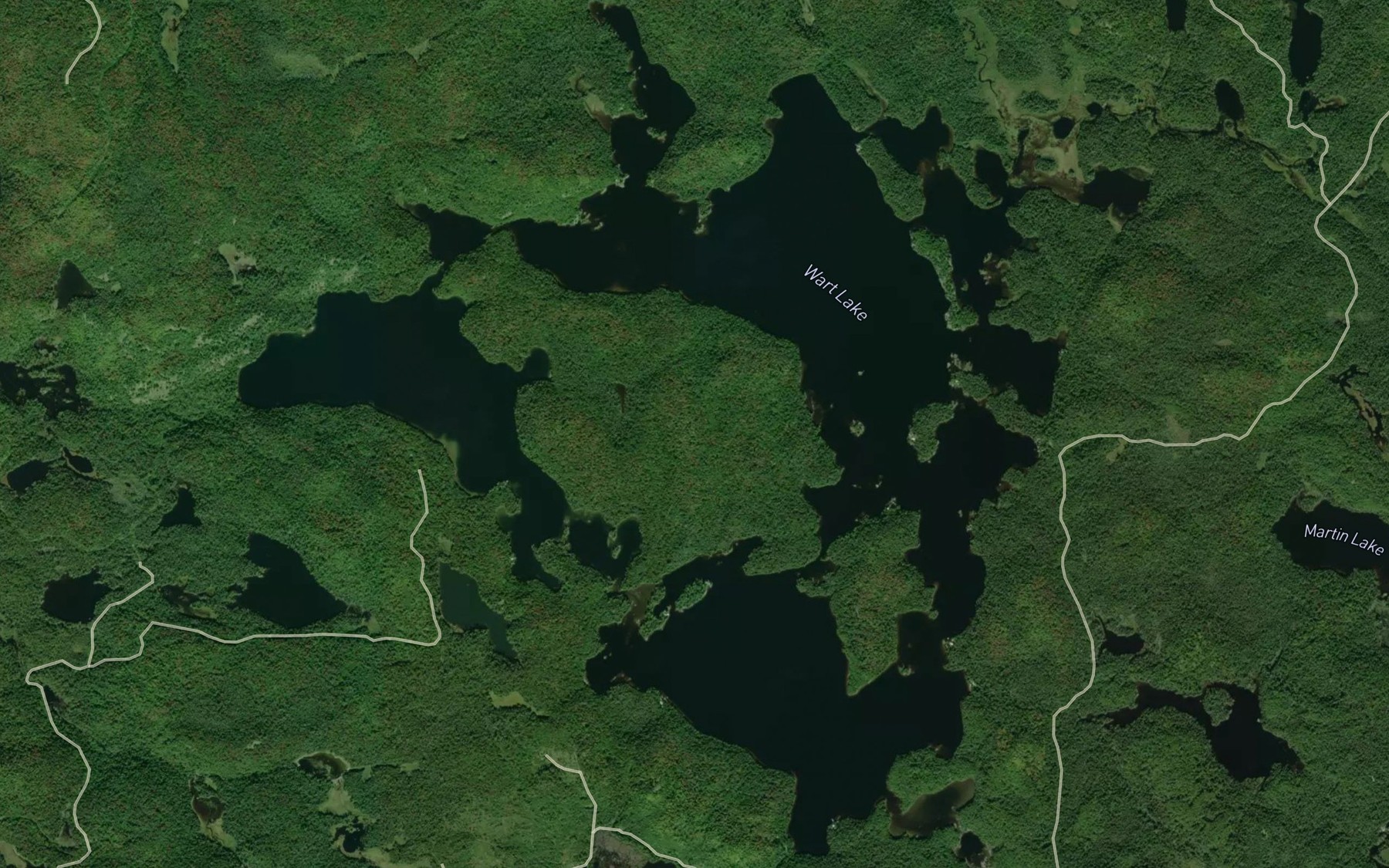 Satellite map of the Wart Lake