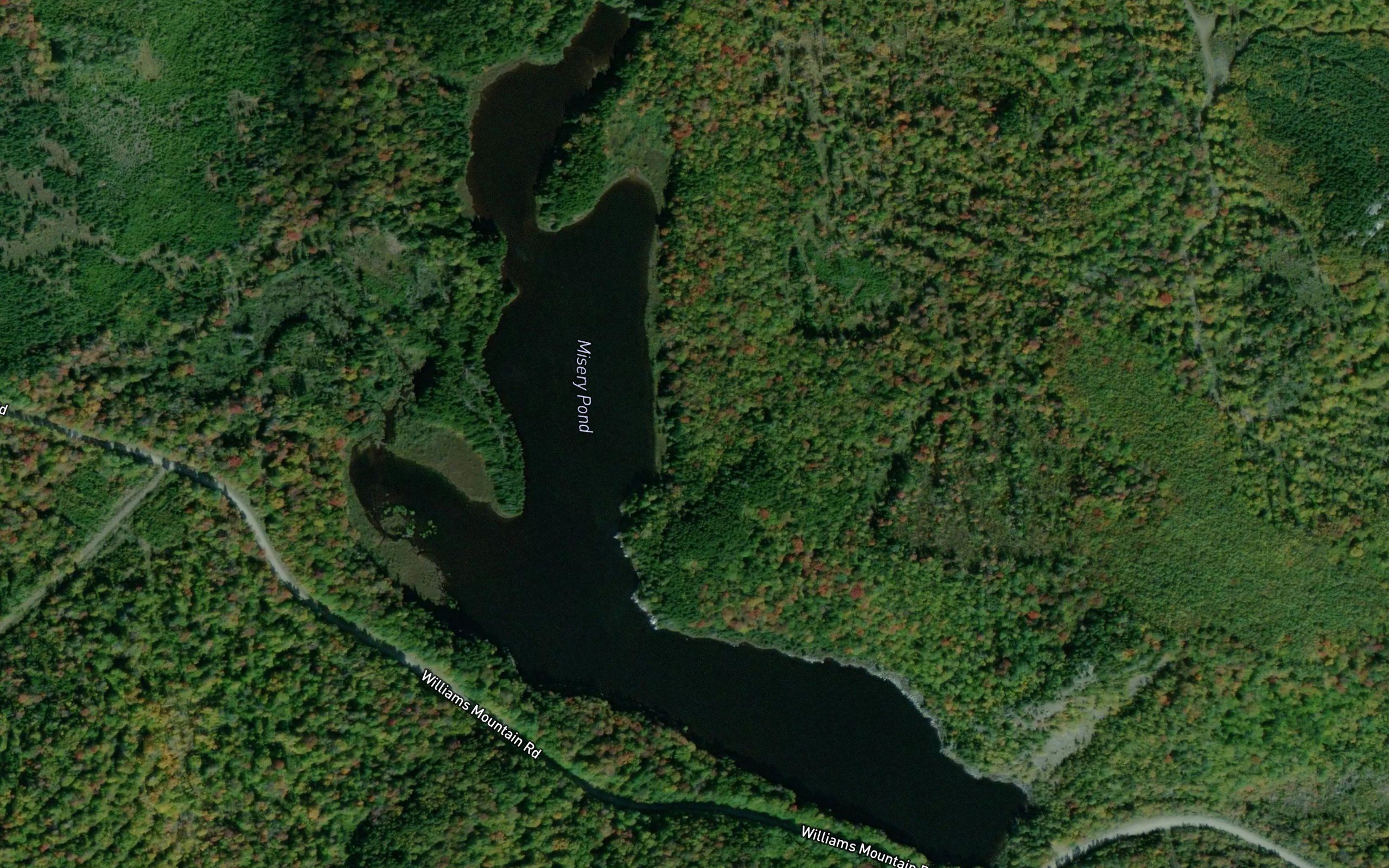 Misery Pond