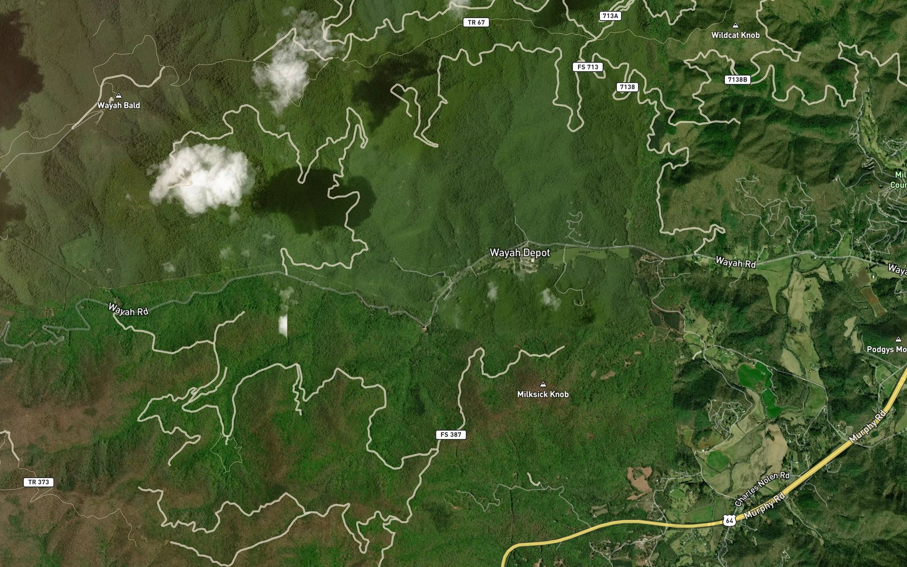 Satellite map of the Locust Tree Branch