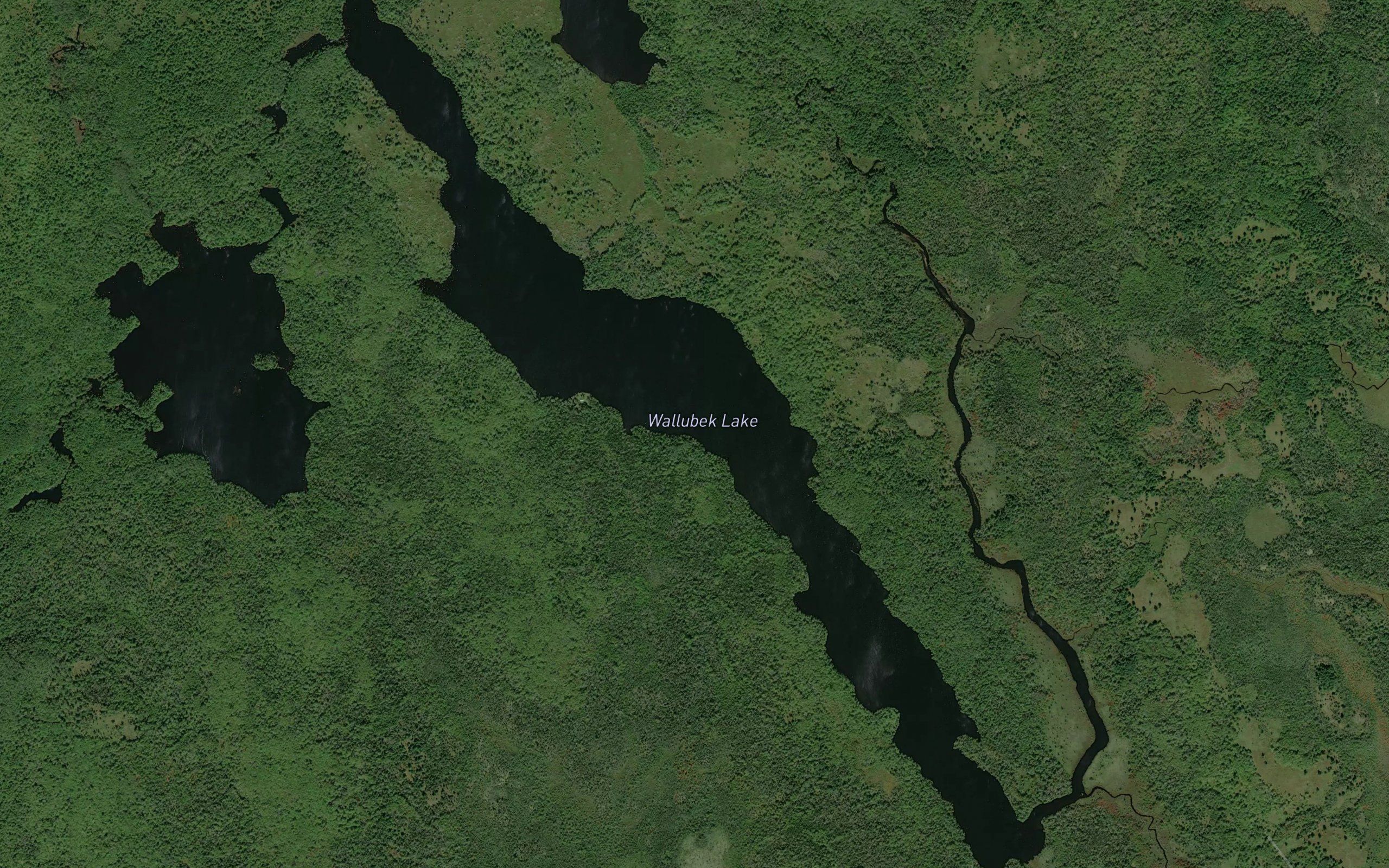 Wallubek Lake