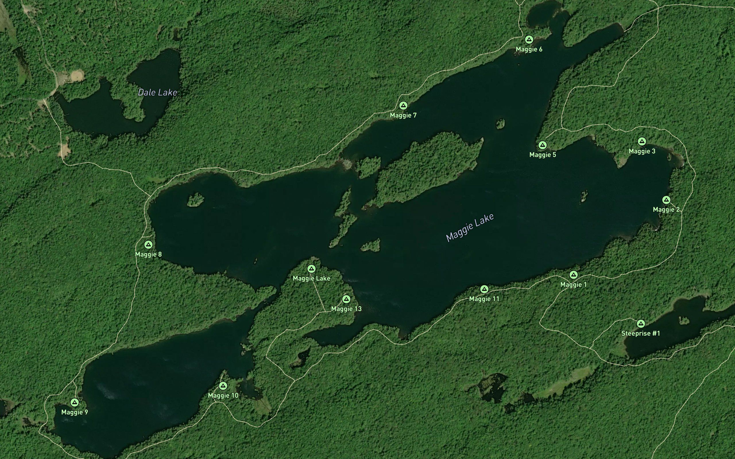 Maggie Lake
