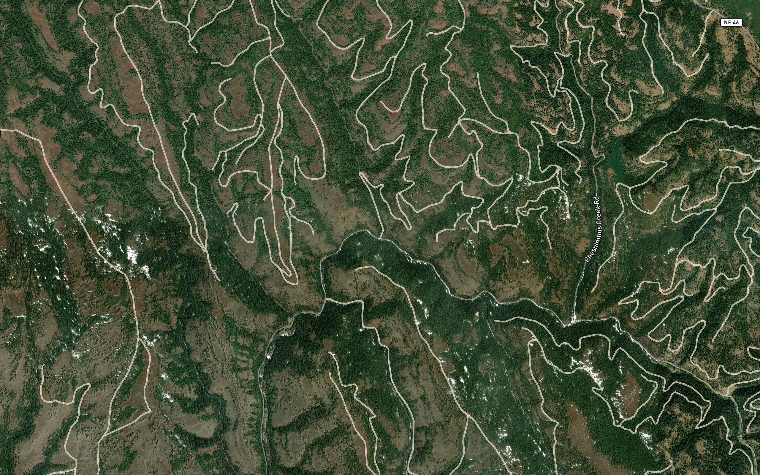 Poison Creek