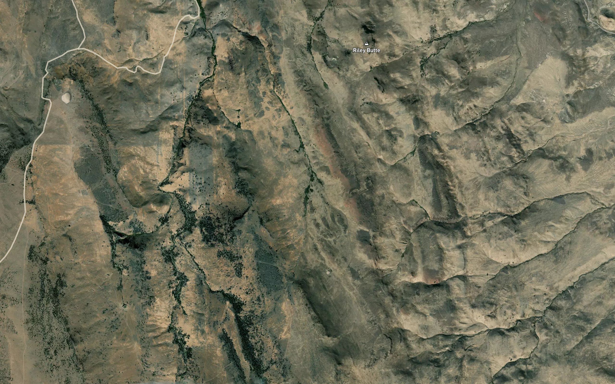 Willow Springs