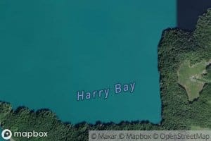 Harry Bay