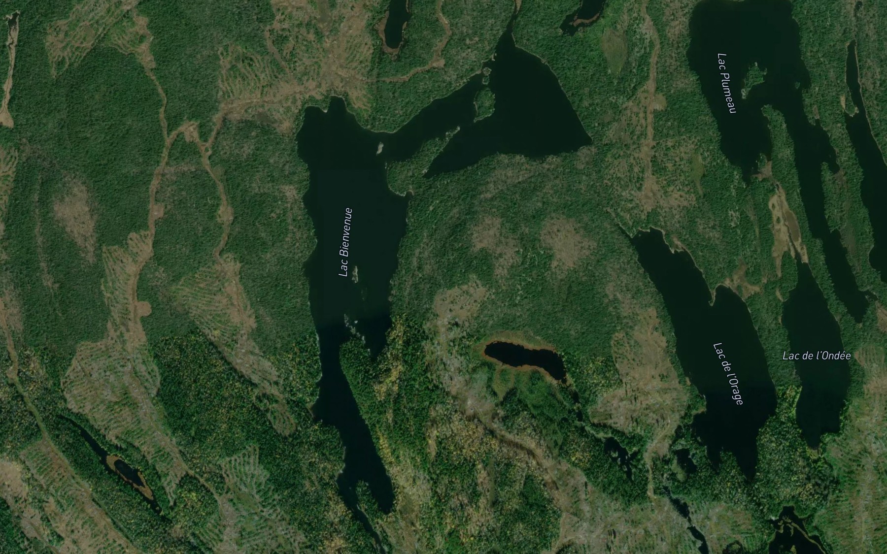 Satellite map of the Lac Bienvenue