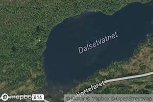Dalsetevatnet