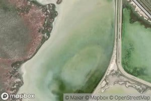 Pond Number Four