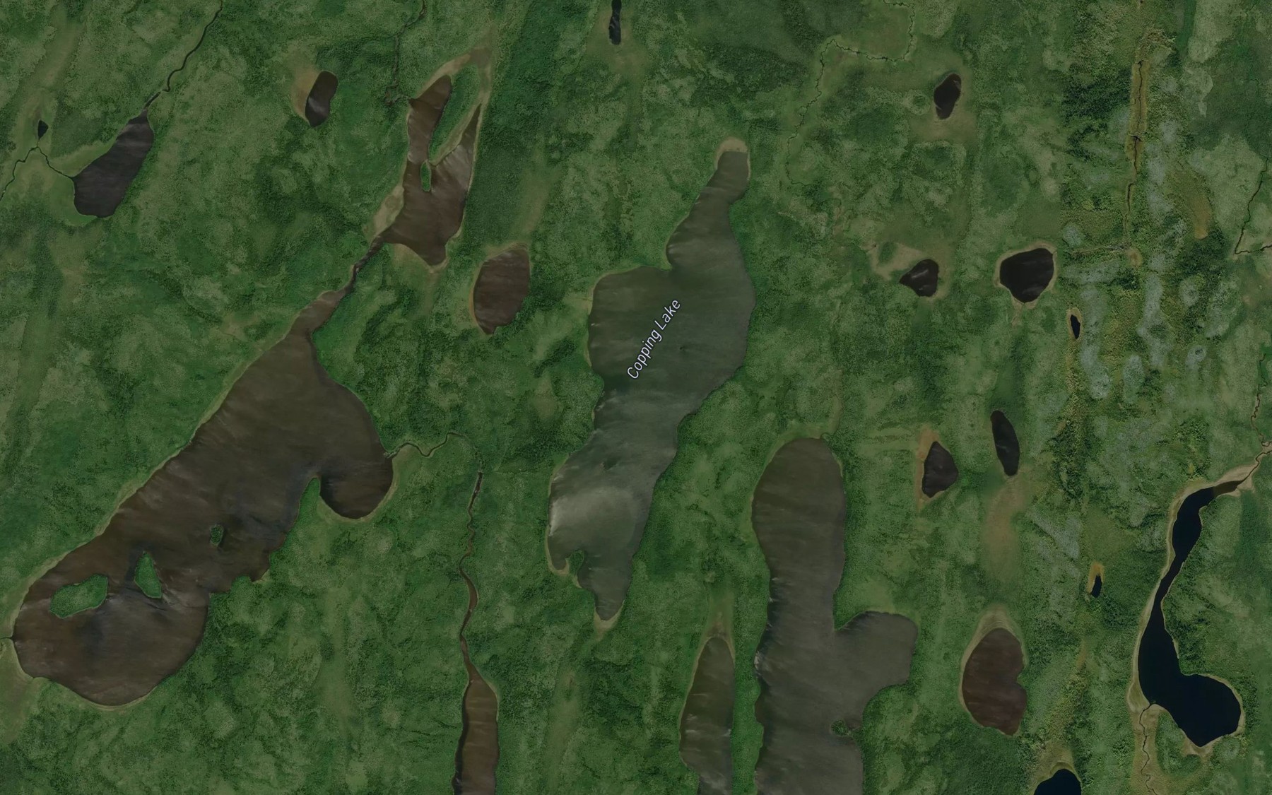 Satellite map of the Copping Lake