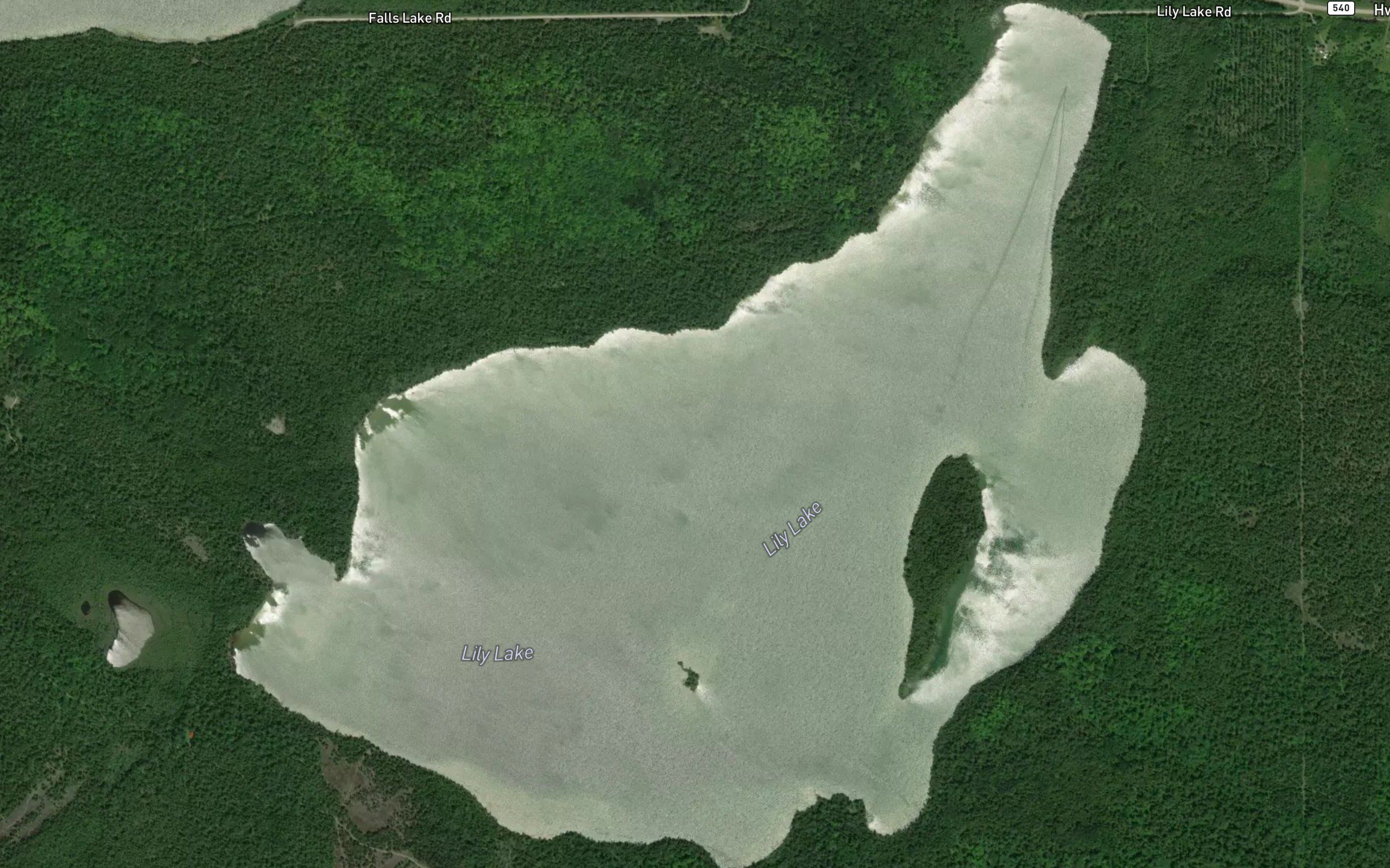 Lily Lake