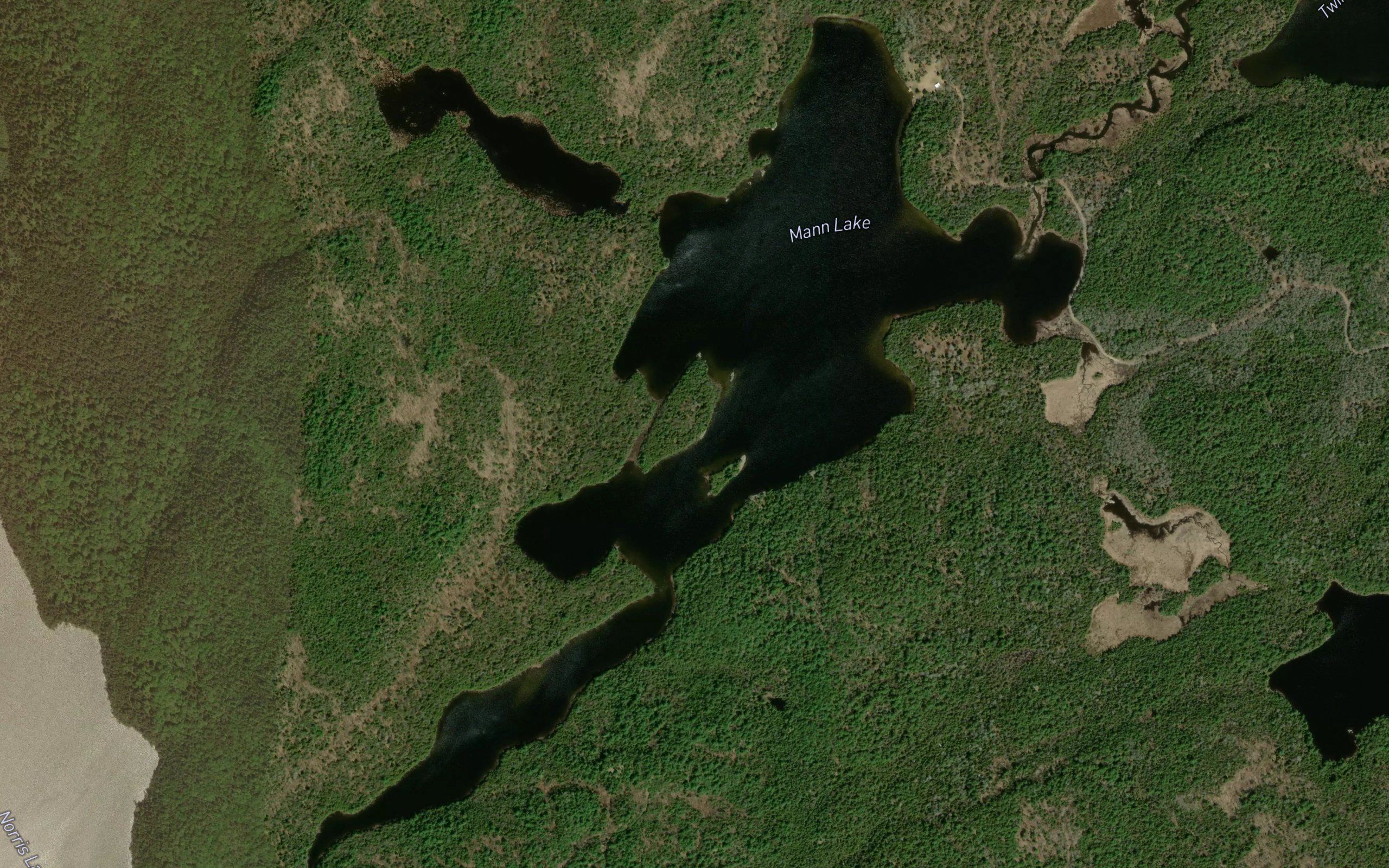 Mann Lake