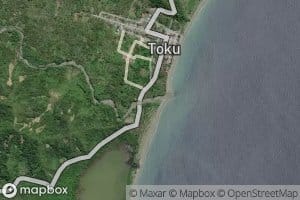 Salanaweer Toku