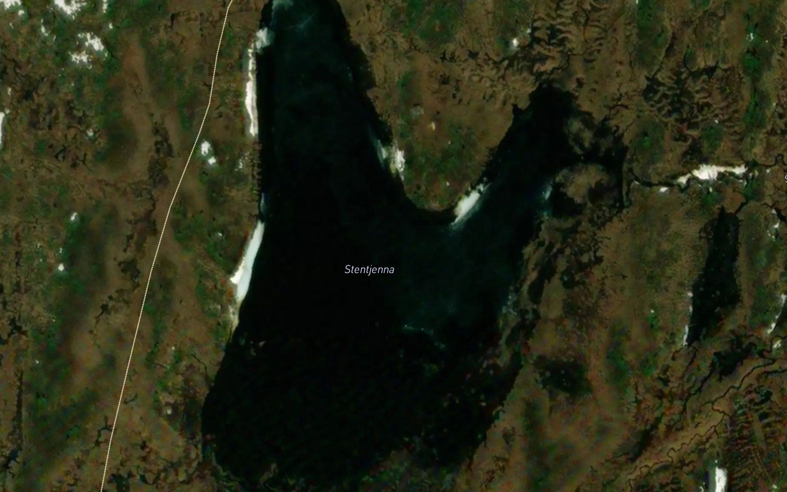 Steintjorna