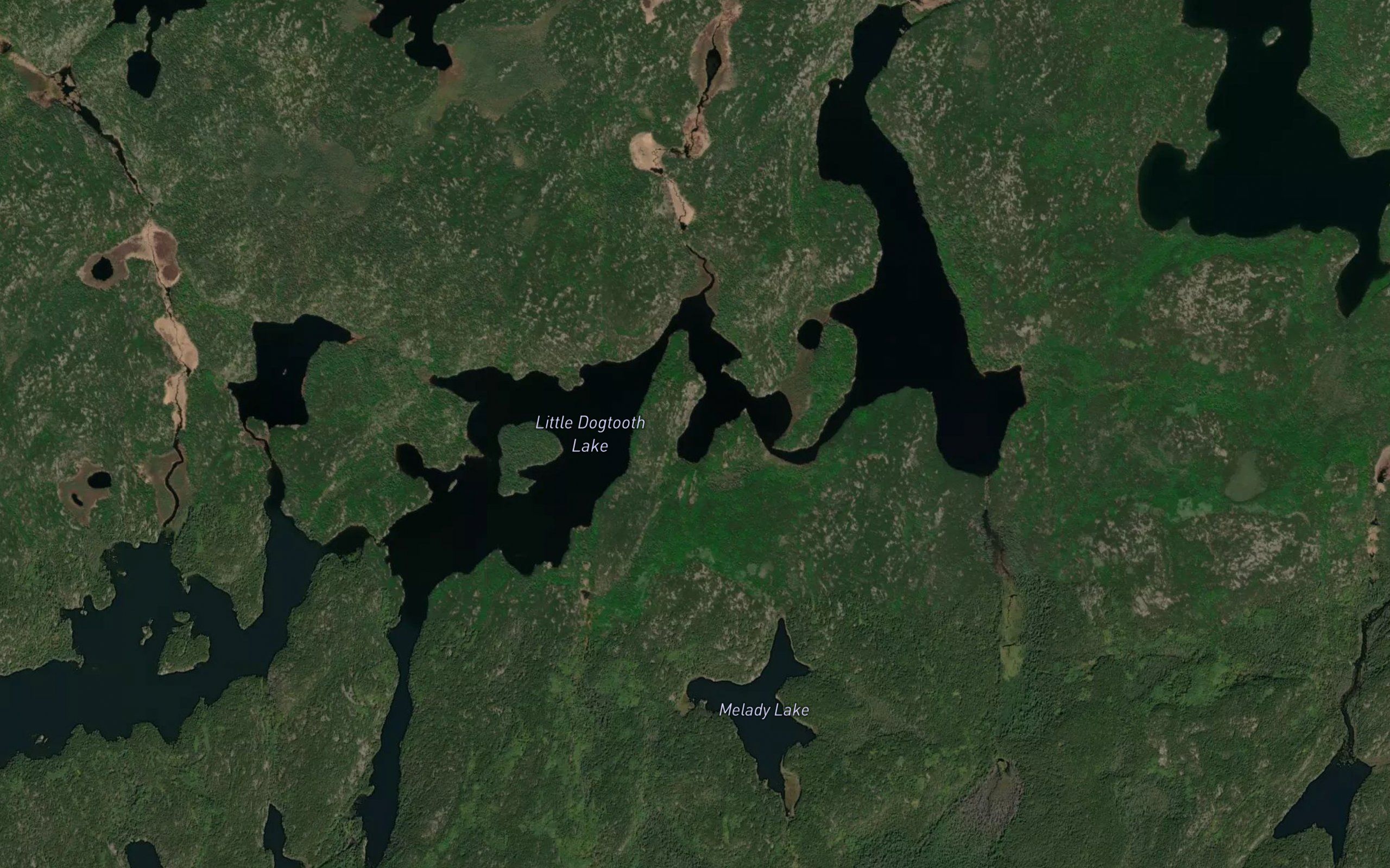 Little Dogtooth Lake