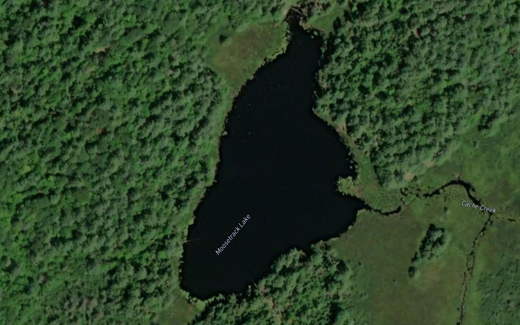 Satellite map of the Moosetrack Lake