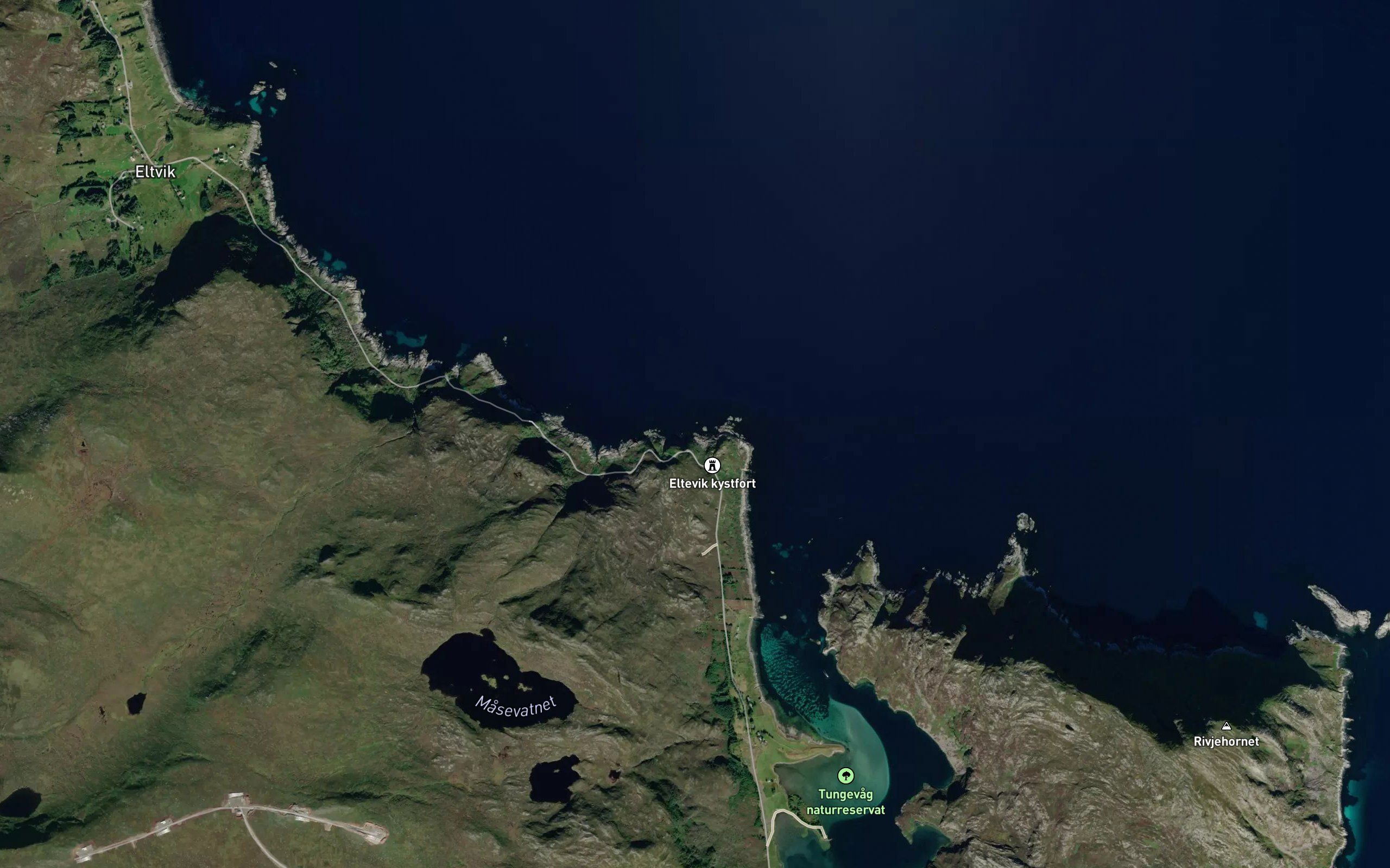 Grunnevika