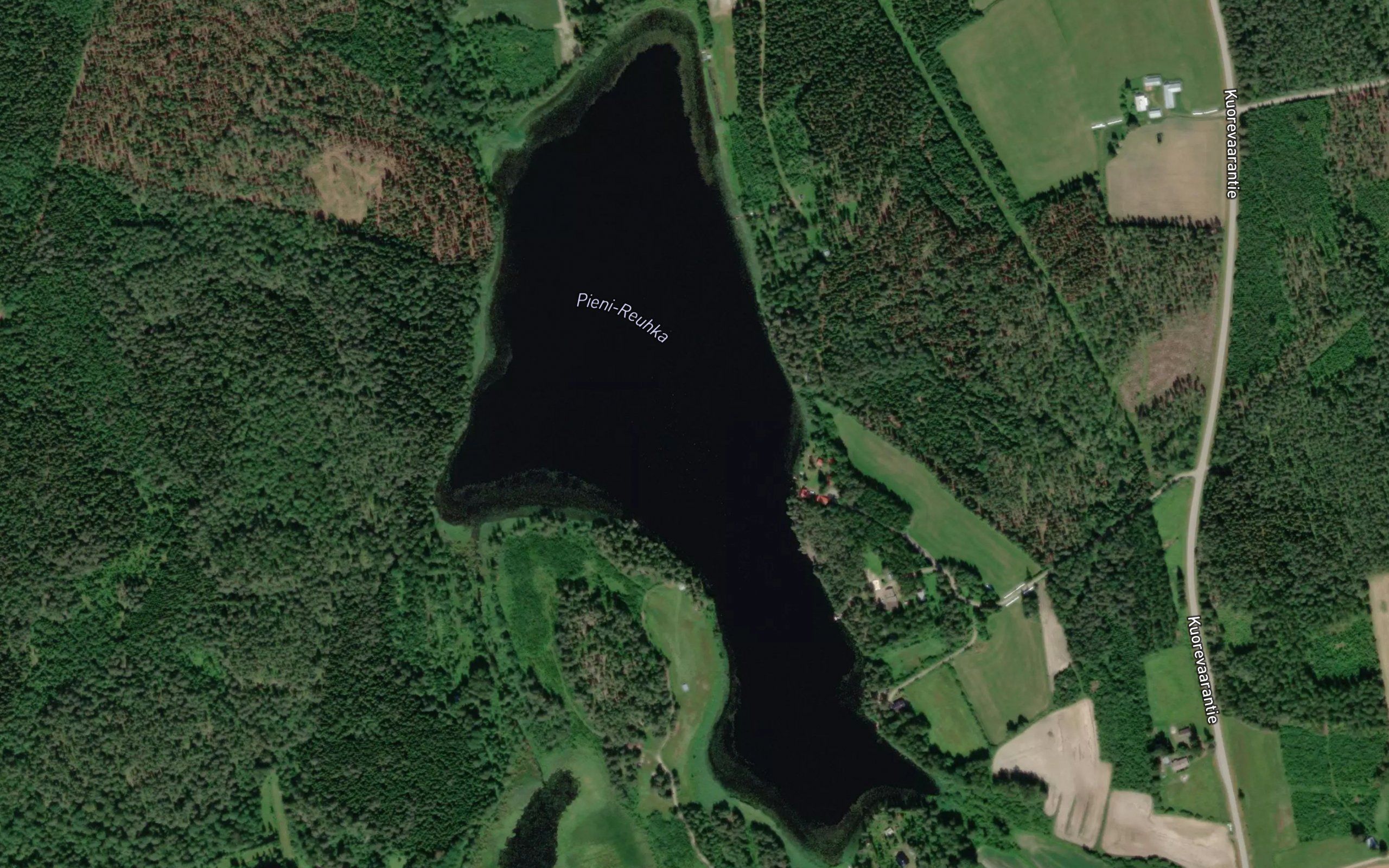 Pieni-Reuhka