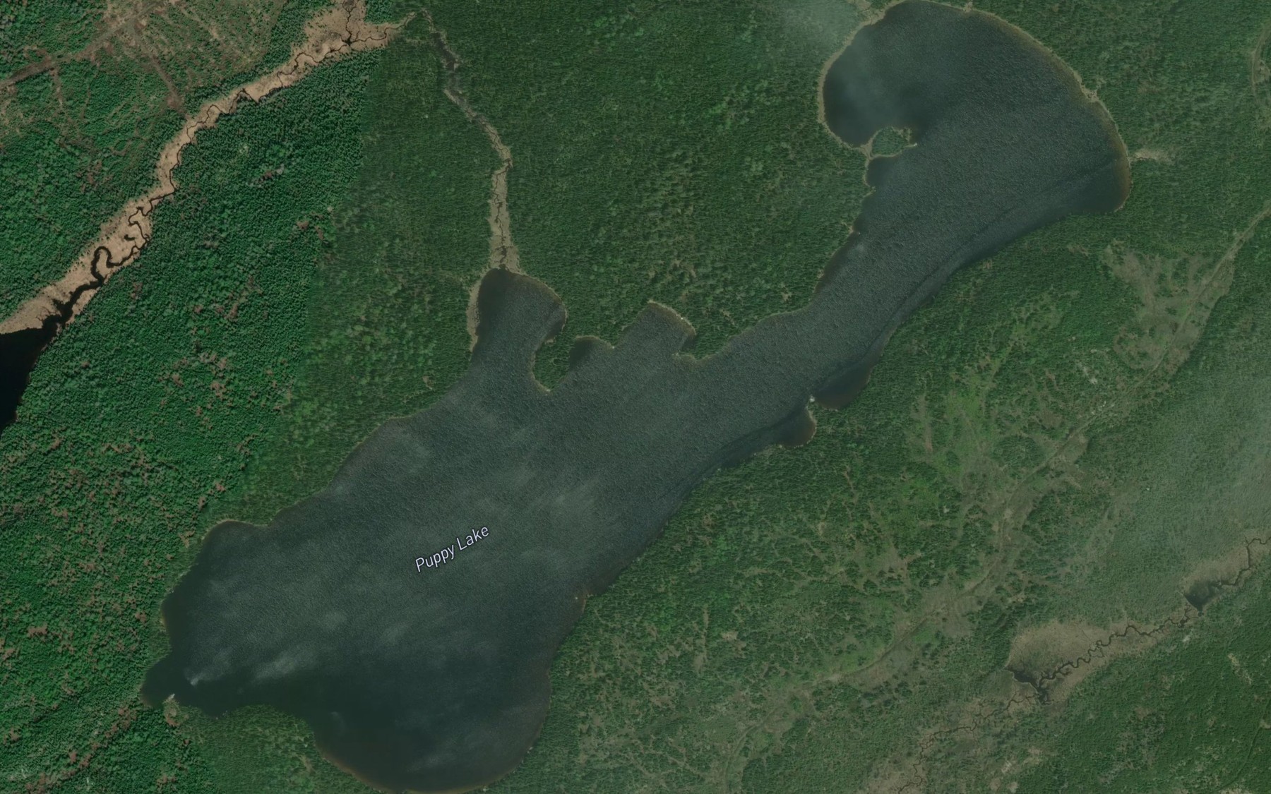 Satellite map of the Puppy Lake