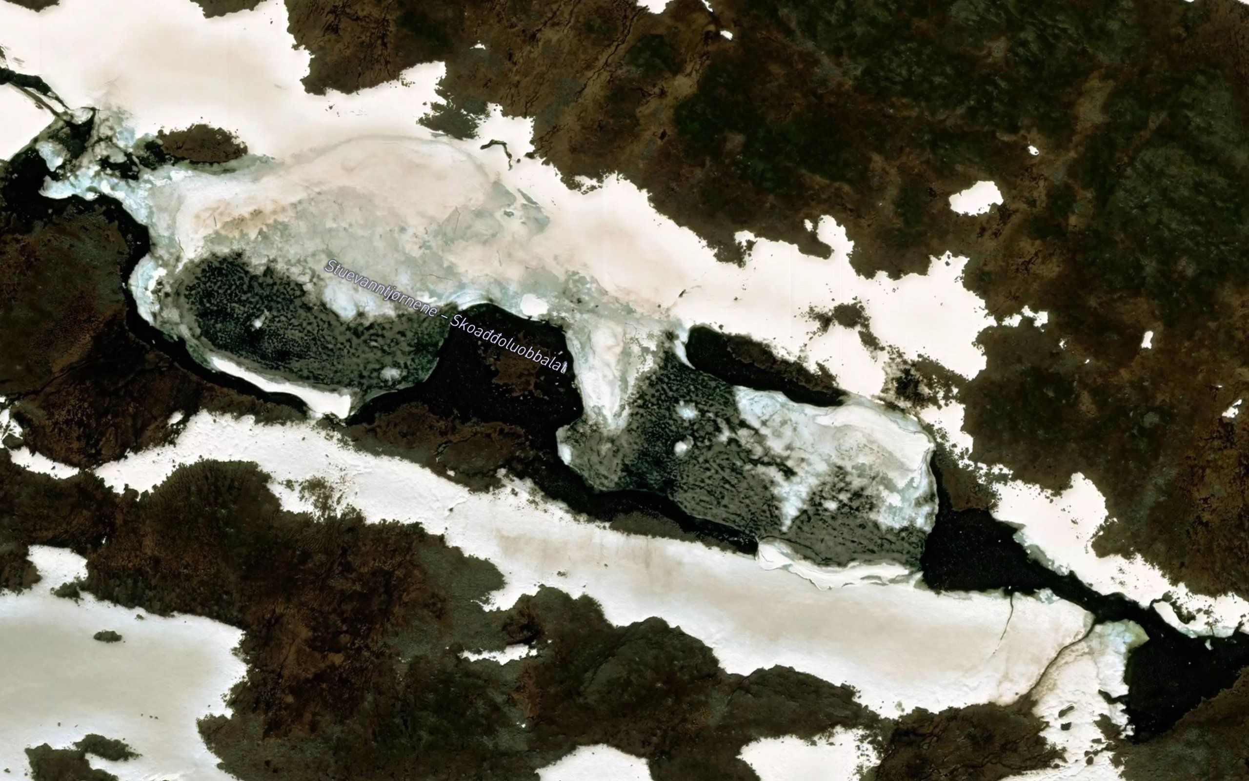 Skoagguluobbalat