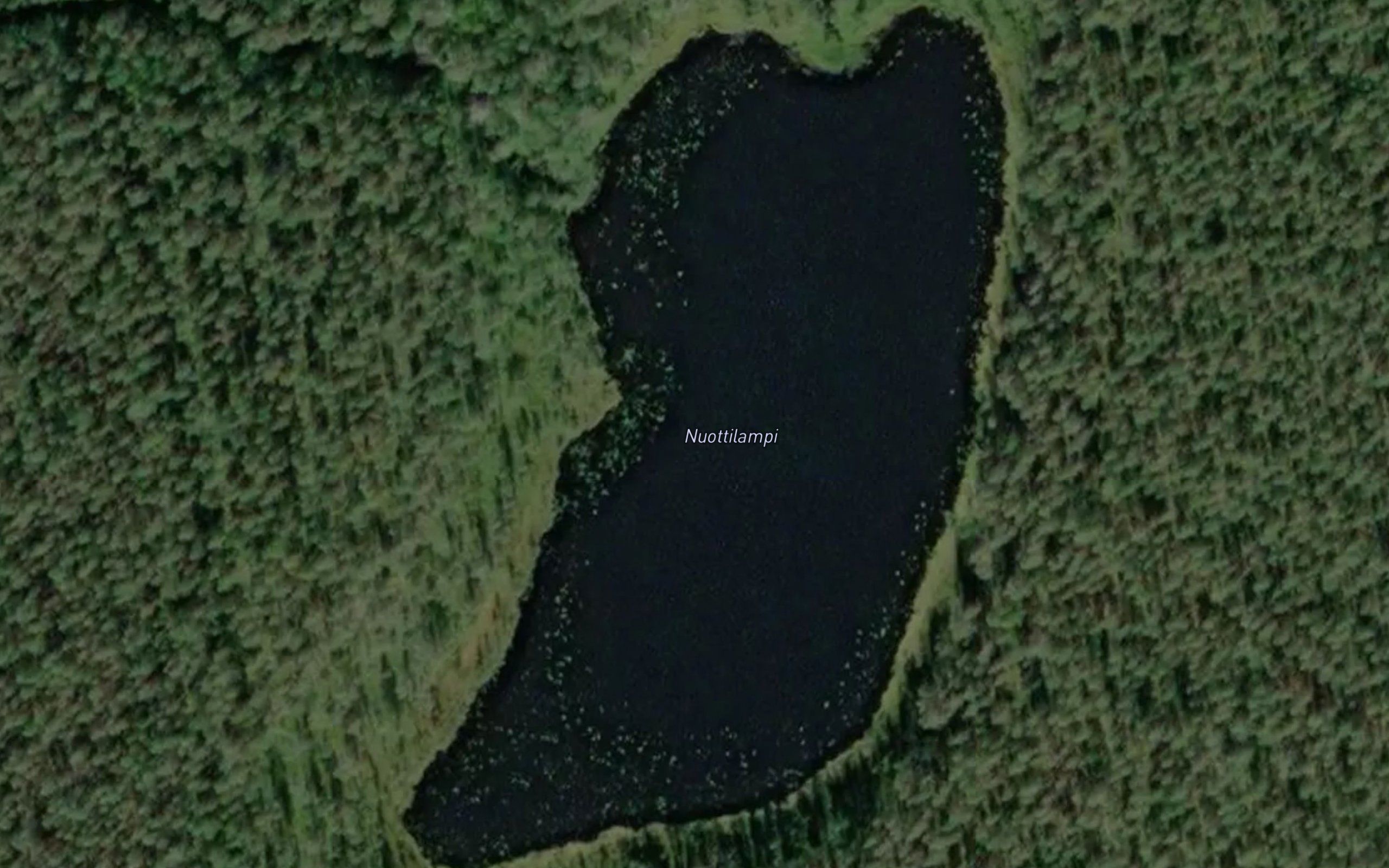 Nuottilampi