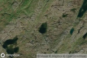 Fjellbekktjorna,l