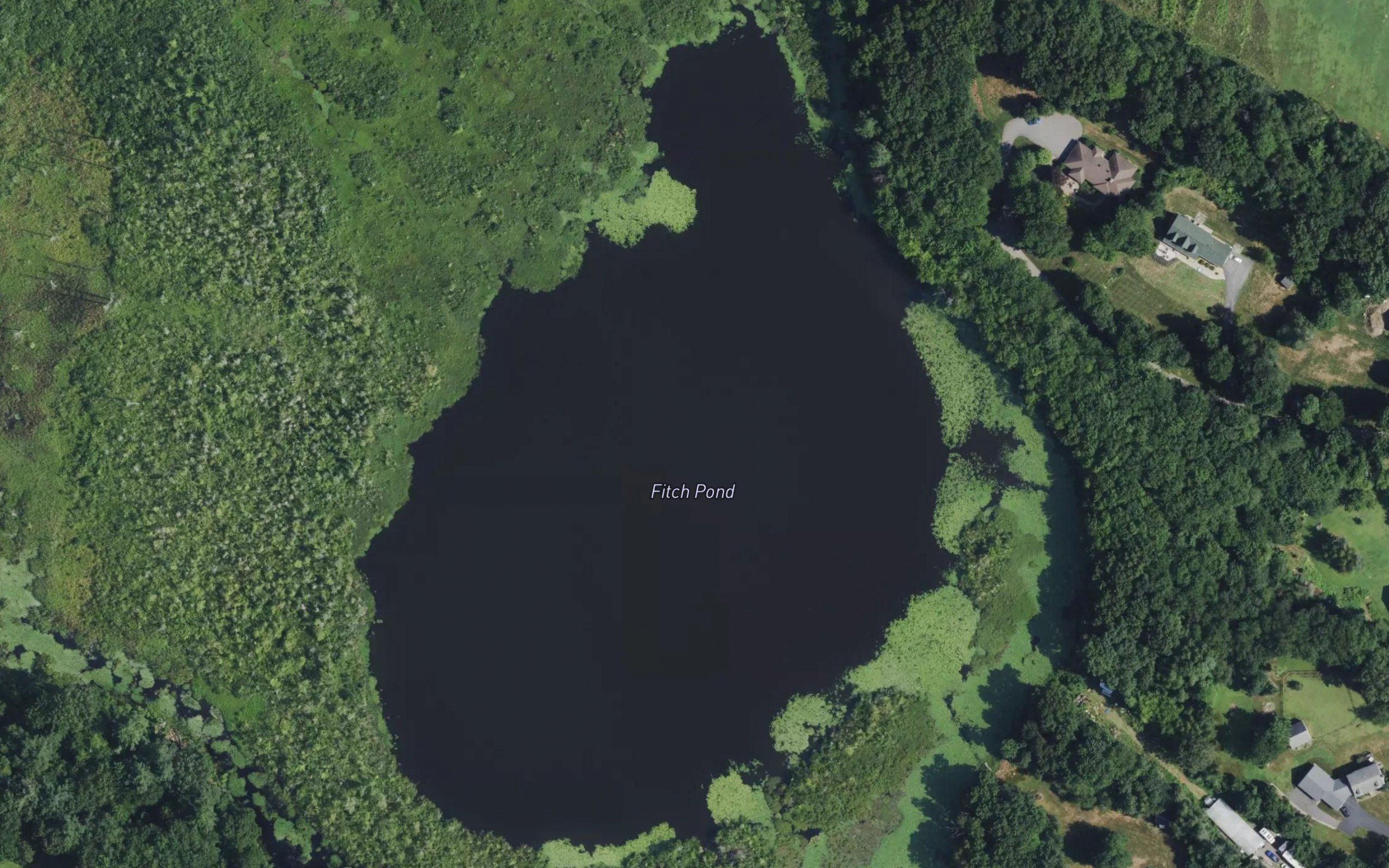 Fitch Pond