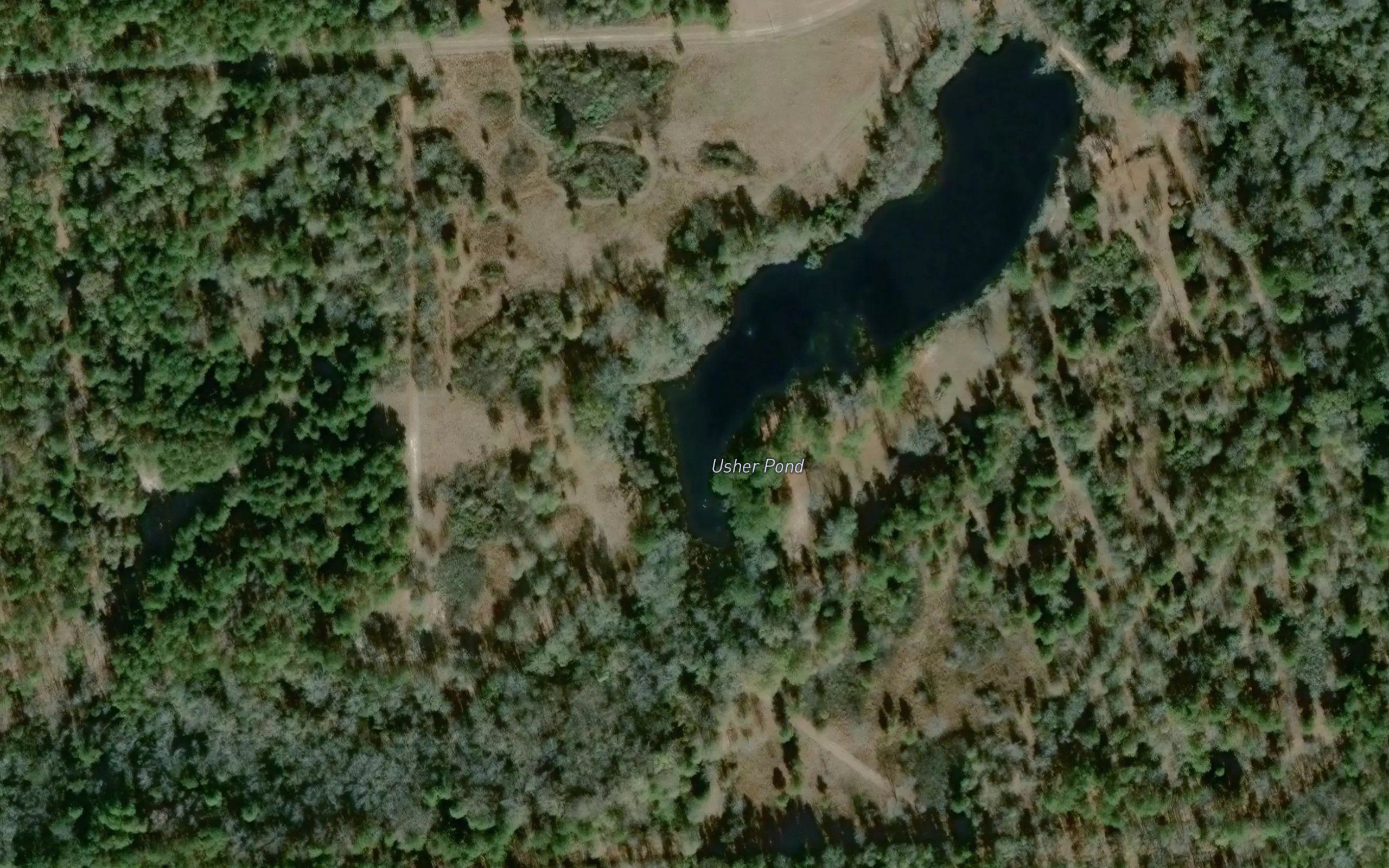 Usher Pond