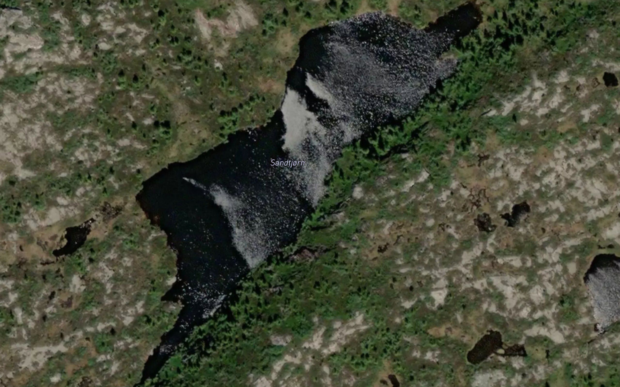 Sandtjorn