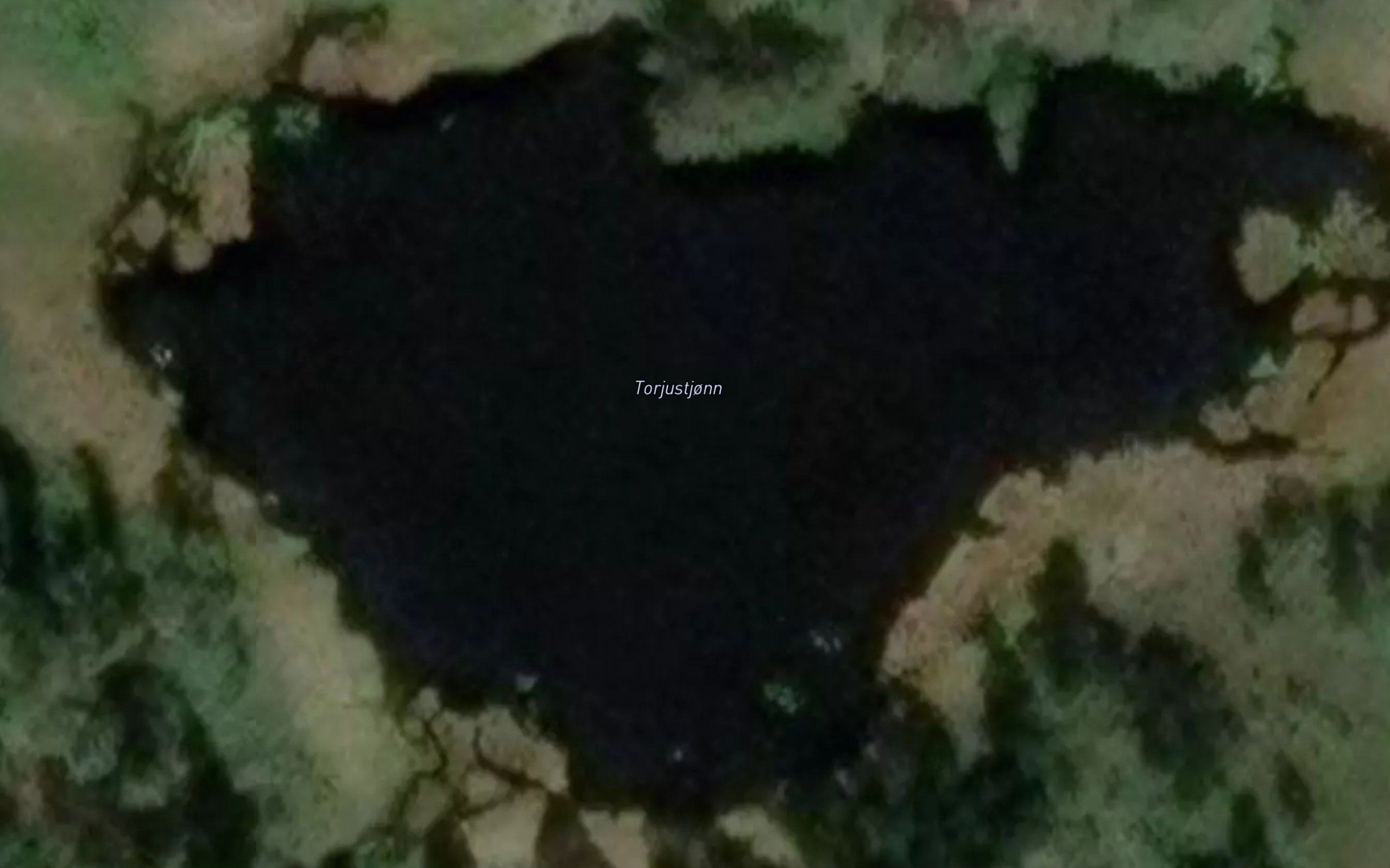 Torjustjonn
