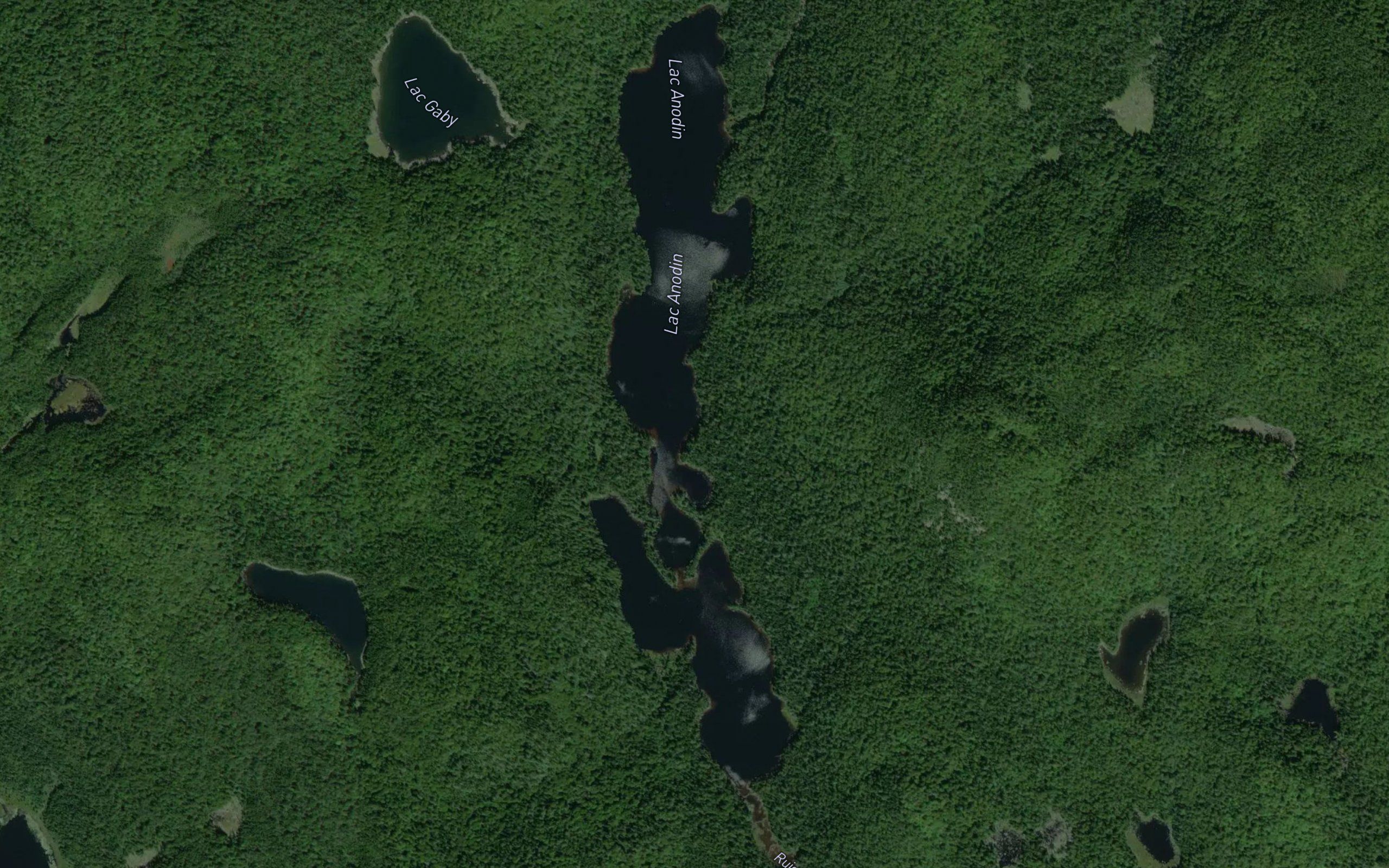 Lac Anodin