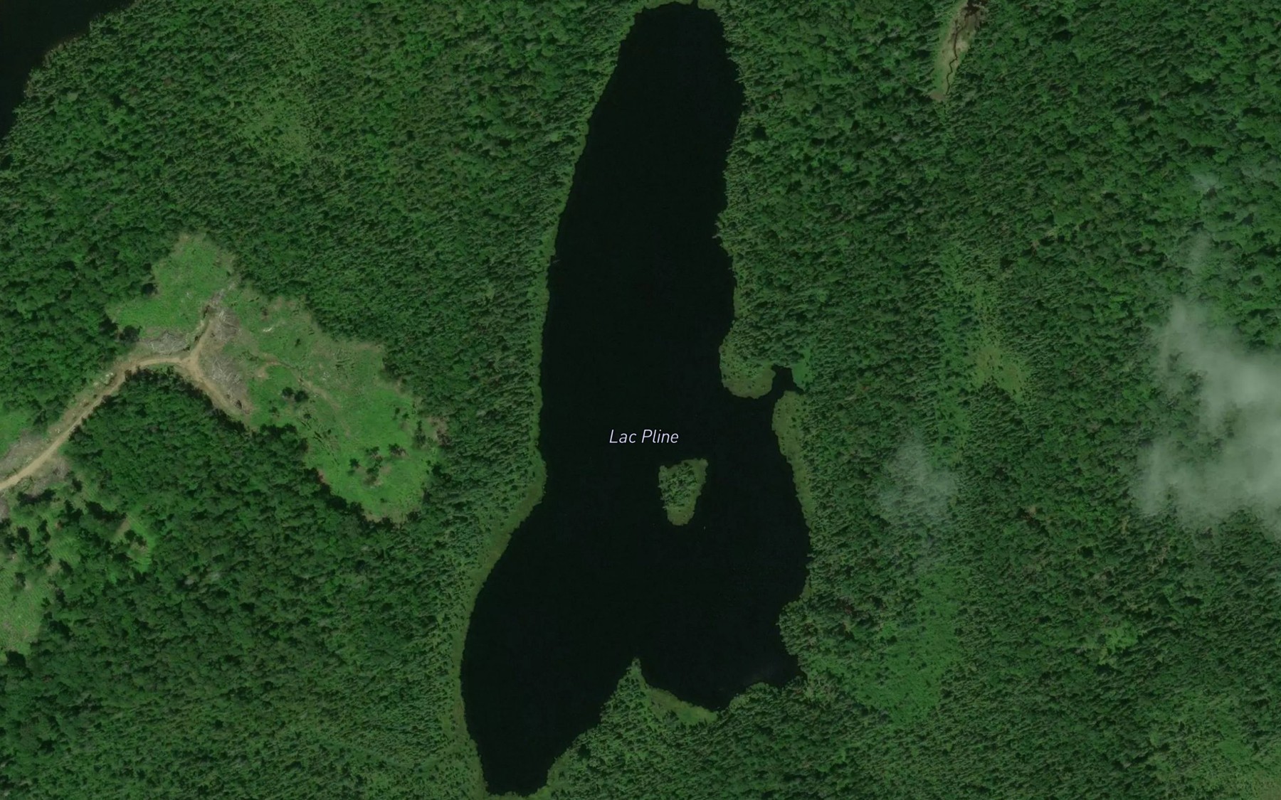 Satellite map of the Lac Pline