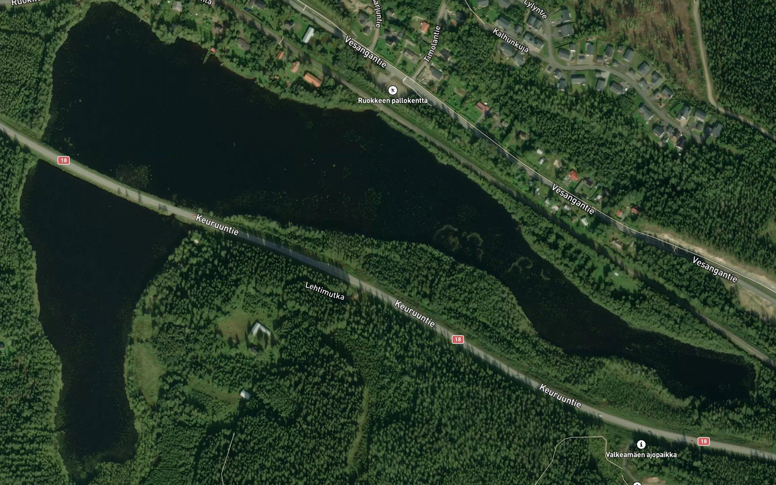 Ruokepuolinen