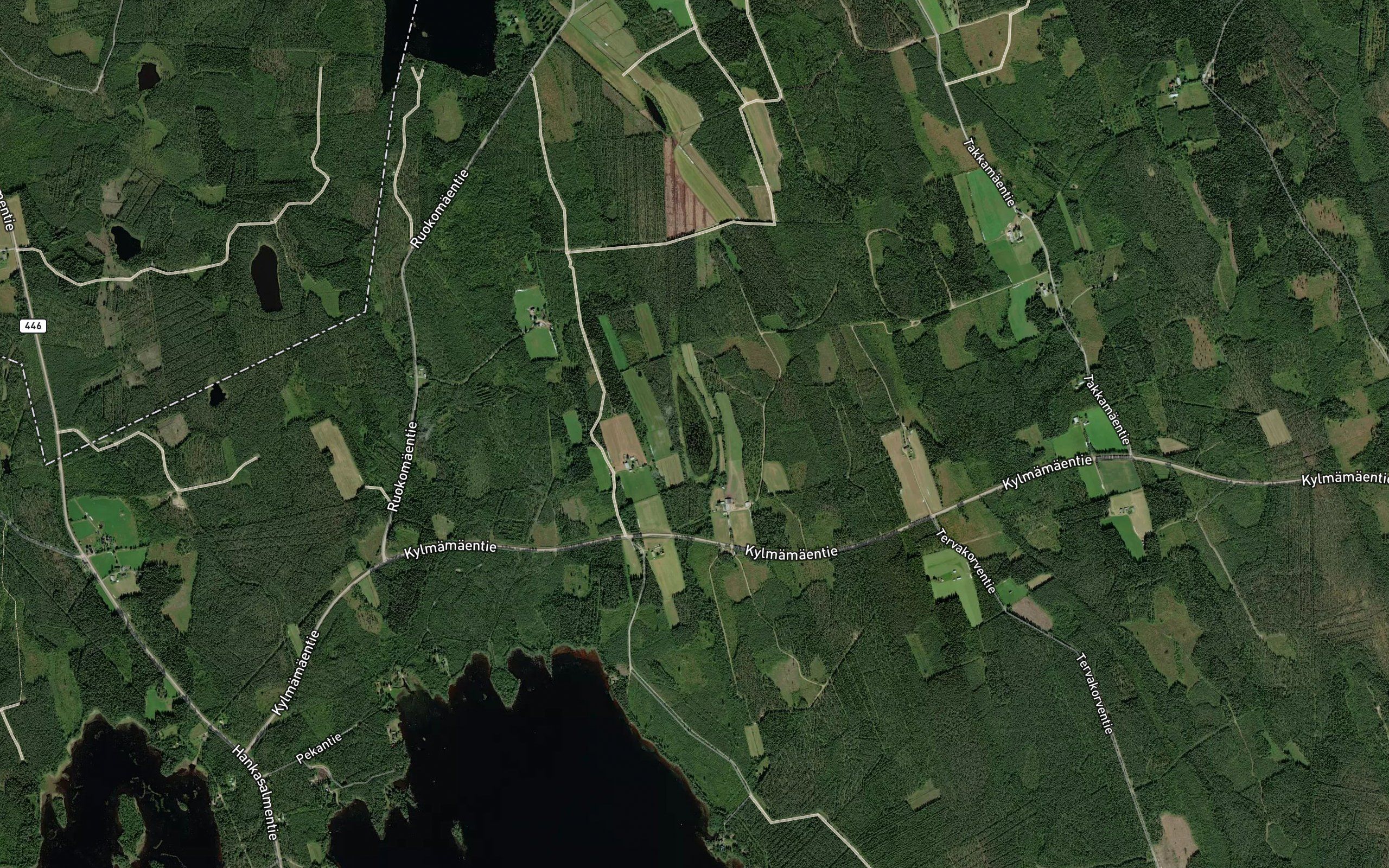 Haukilampi