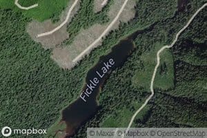 Fickle Lake