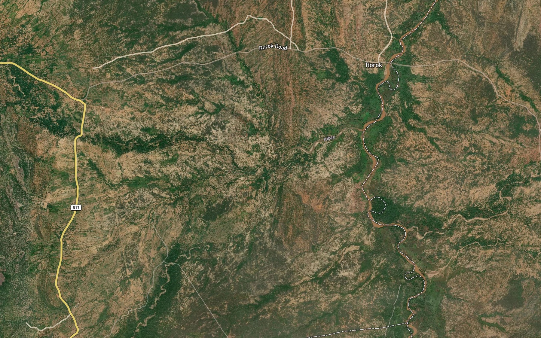 Satellite map of the Chesegon