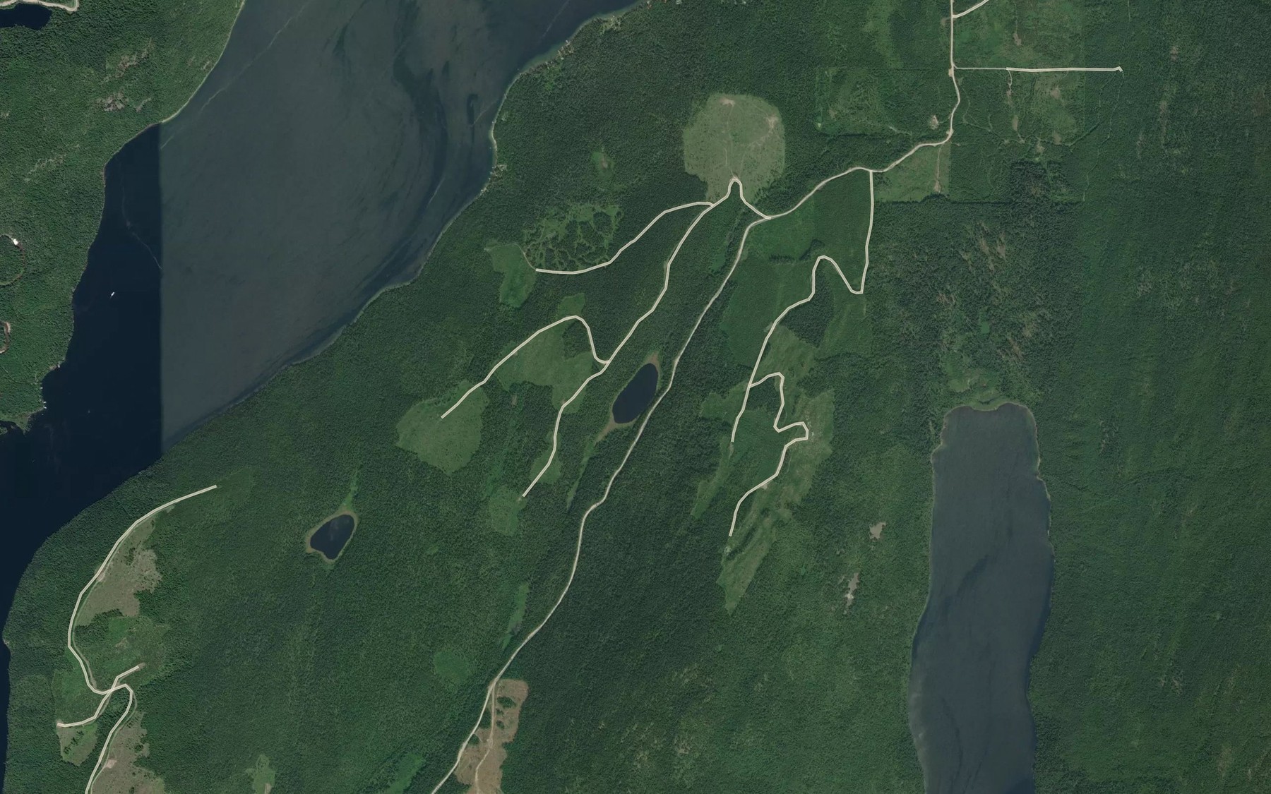 Satellite map of the Black Lake