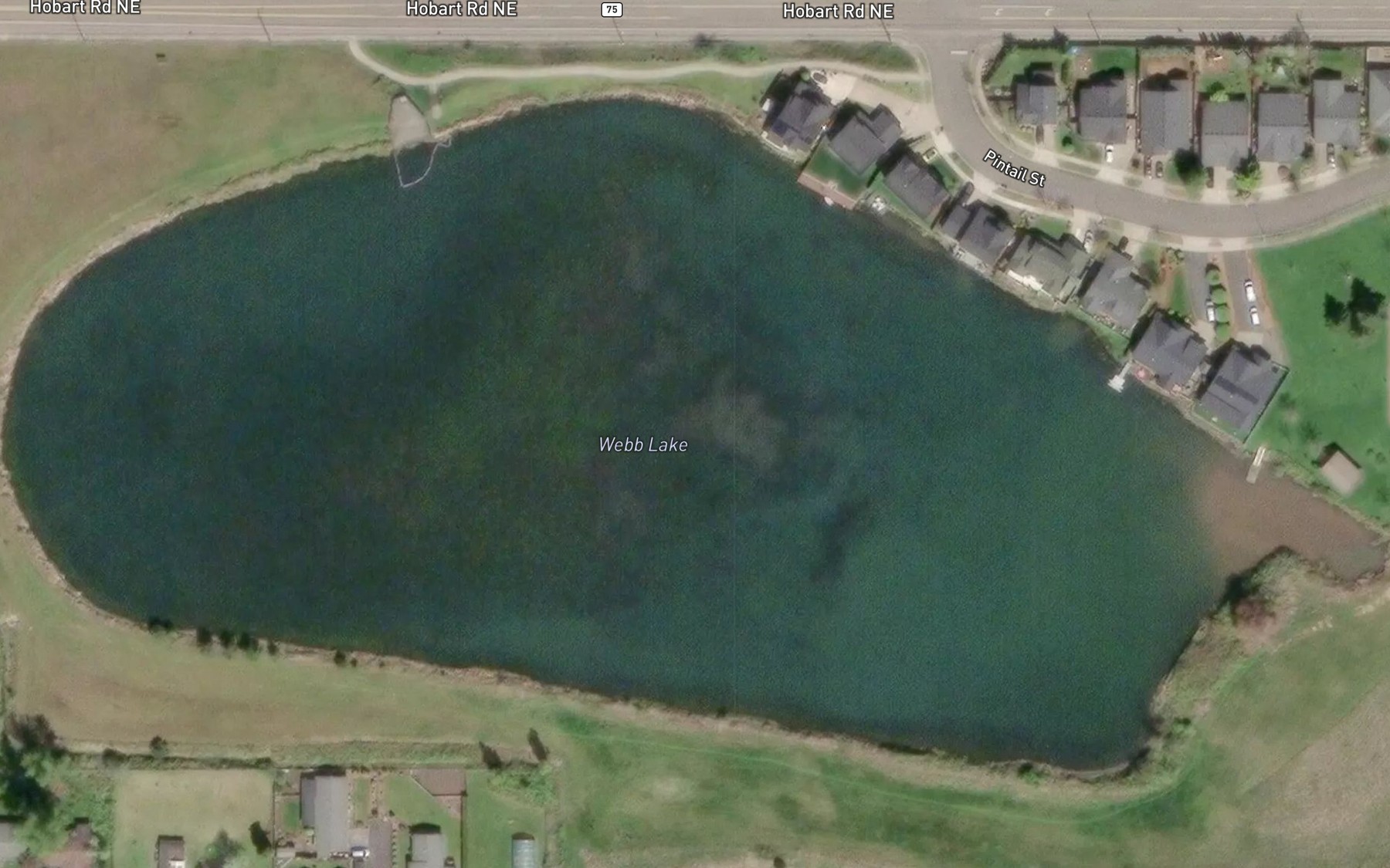 Satellite map of the Webb Lake