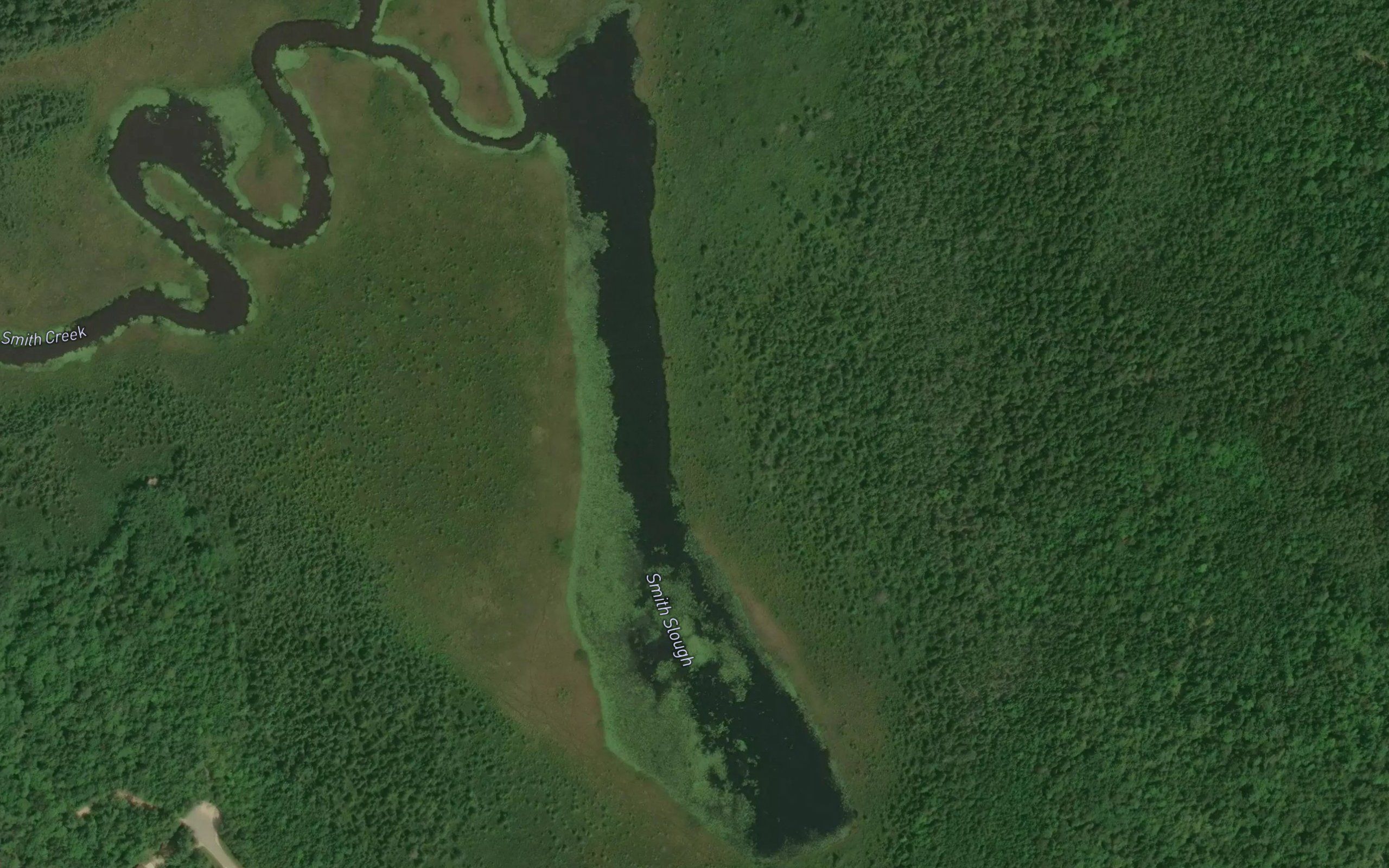 Smith Slough
