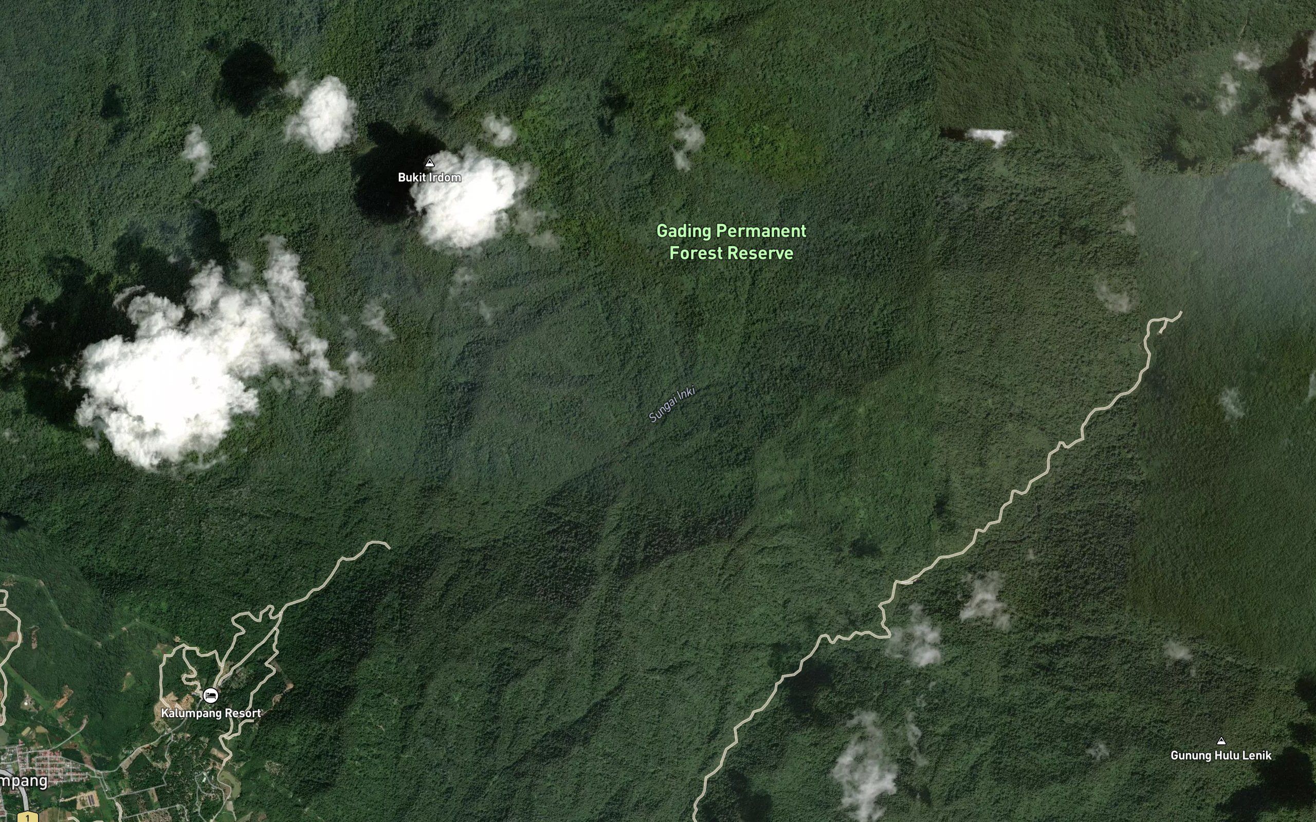 Sungai Kayu Ara