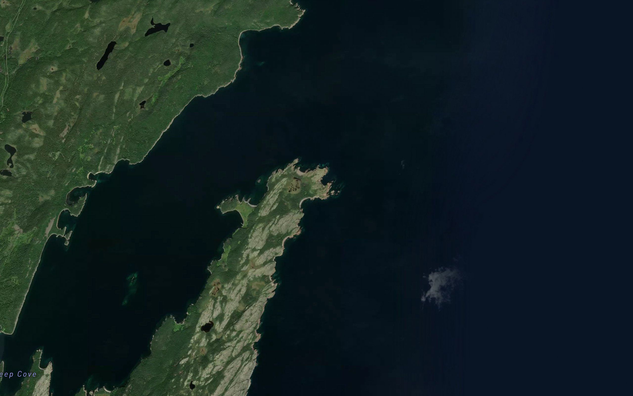 Rosemary Cove