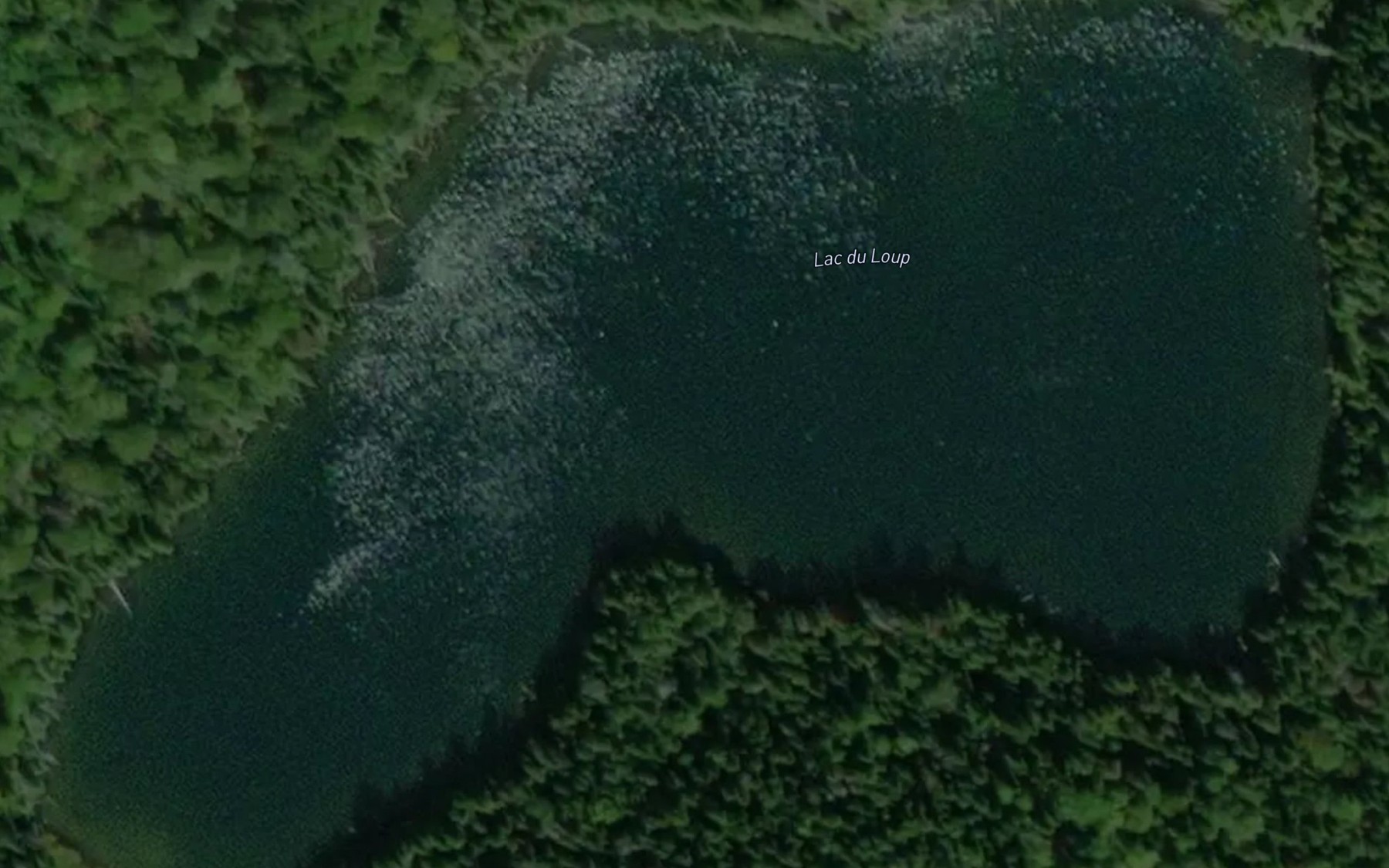 Satellite map of the Lac du Loup
