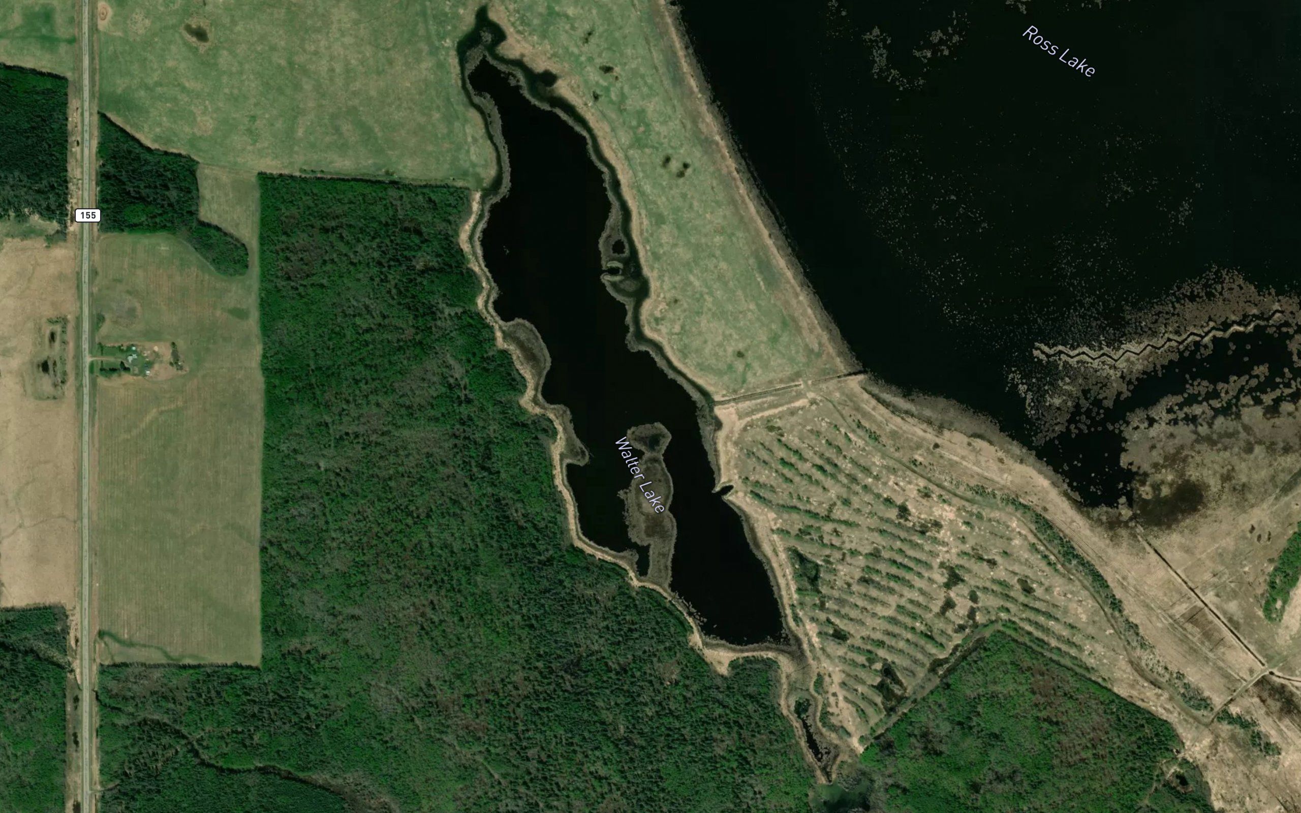 Walter Lake