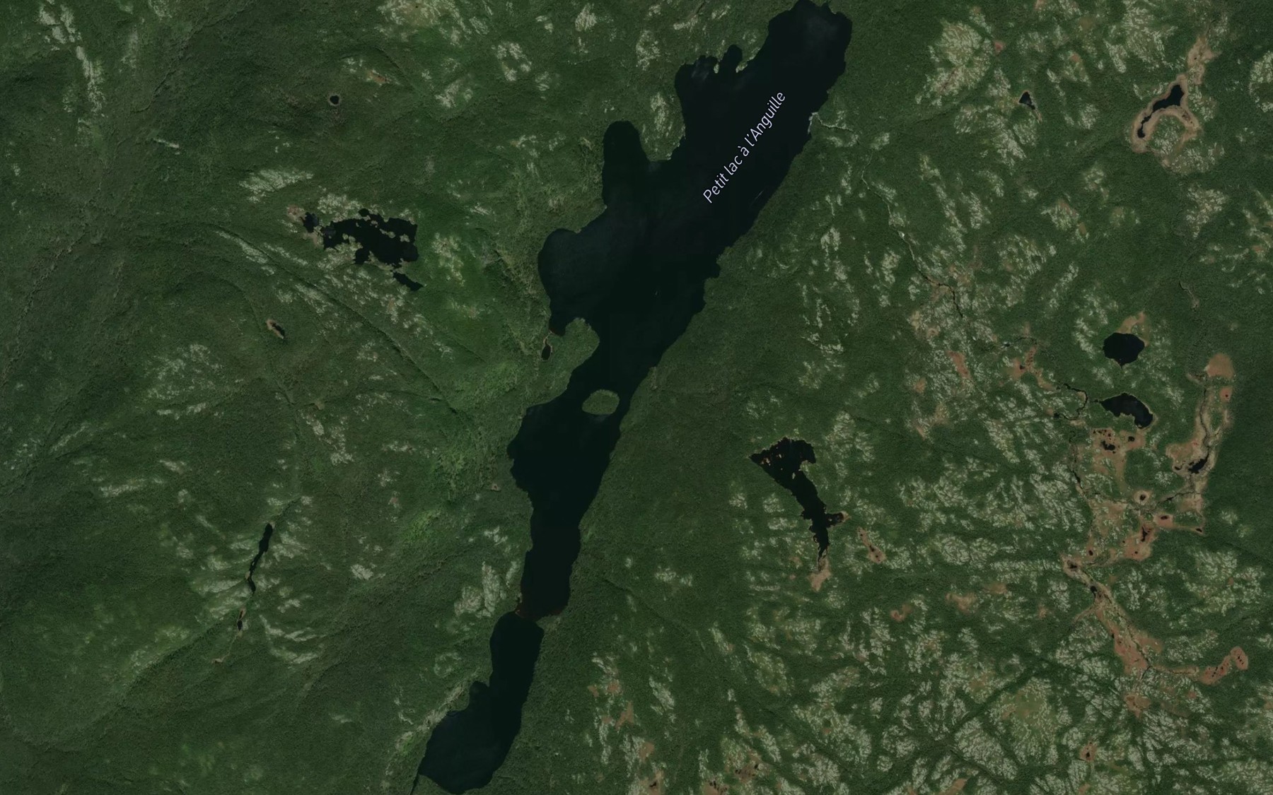Satellite map of the Petit lac a l'Anguille