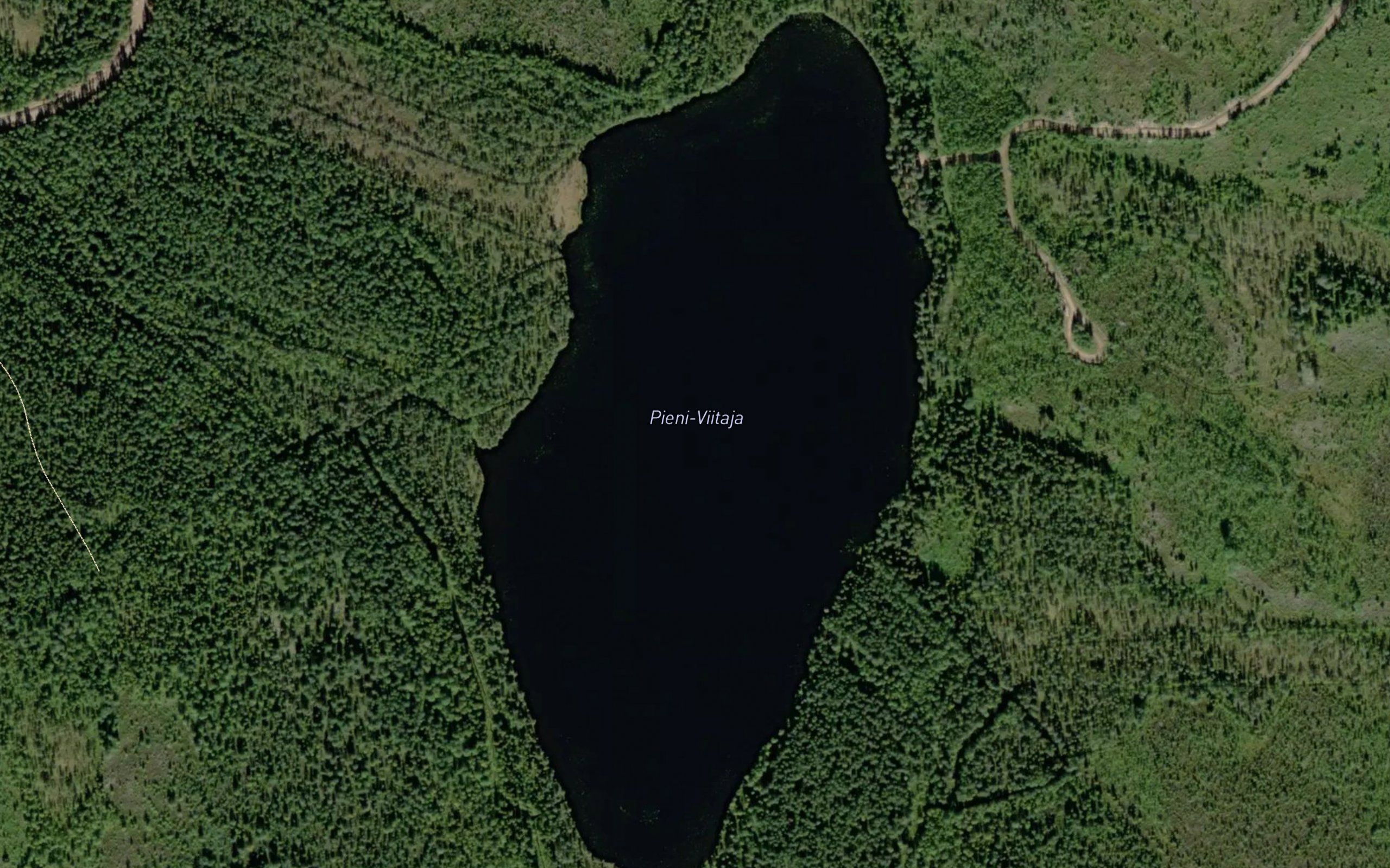 Pieni-Viitaja