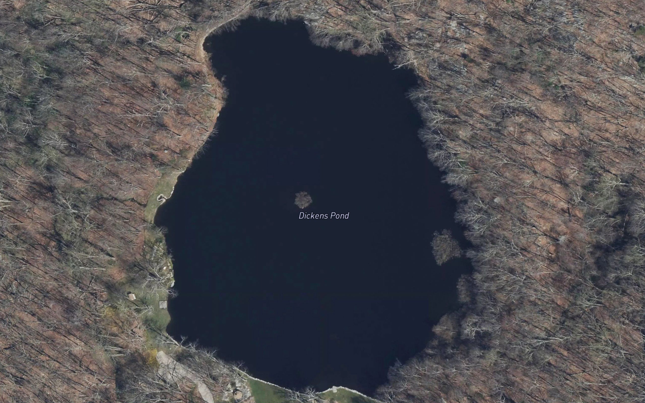 Dickens Pond