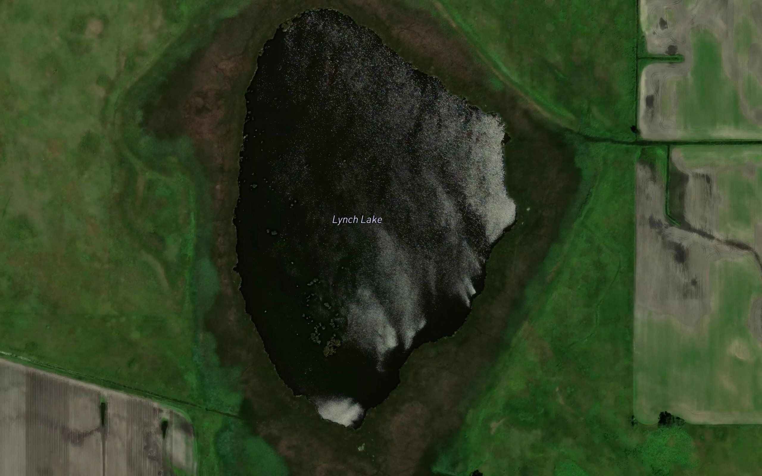Lynch Lake