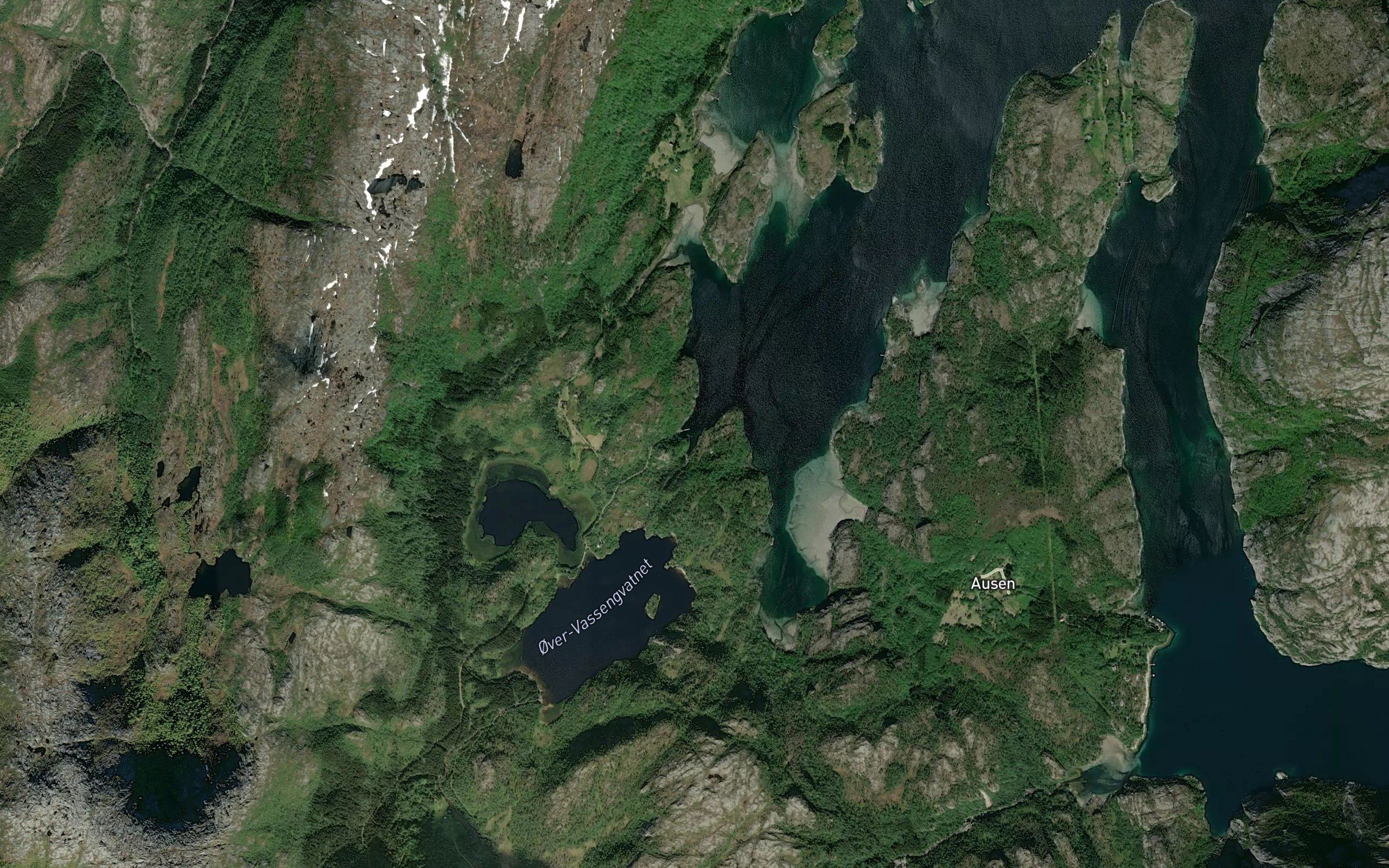 Elvvika