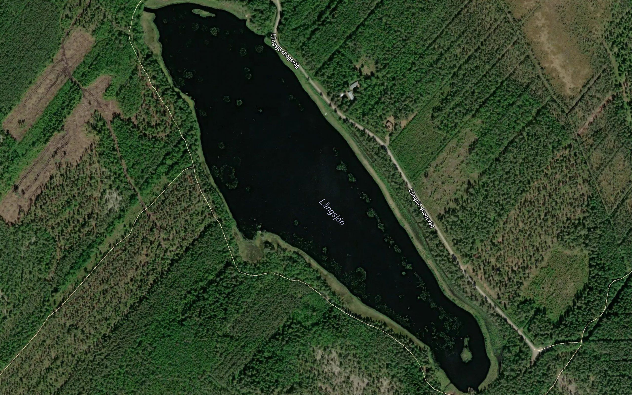 Langsjon